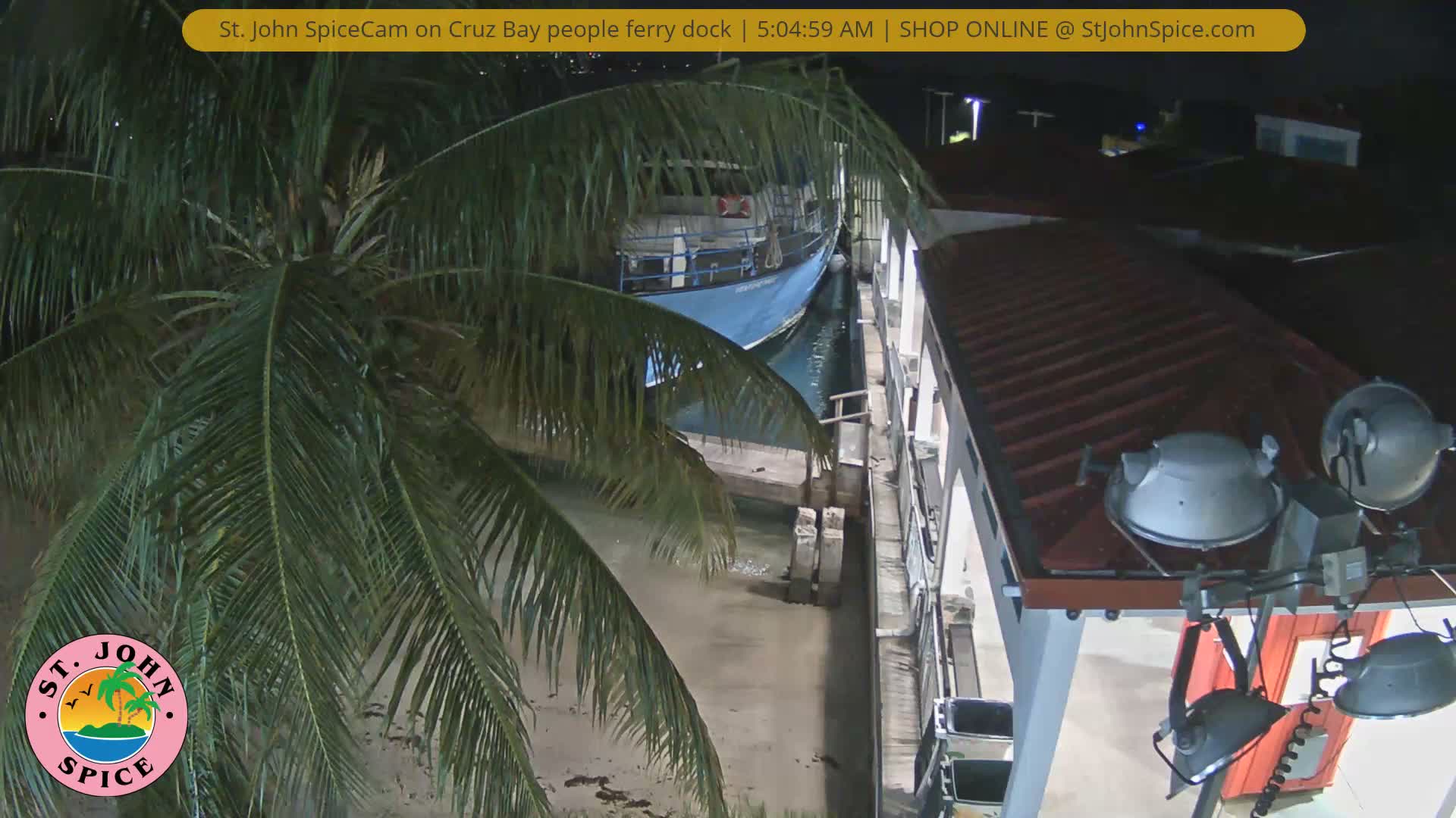 A dark, clear, and calm night view captures a blue boat docked in still water, partially obscured by green palm fronds, alongside a building with roof and lights on the right.