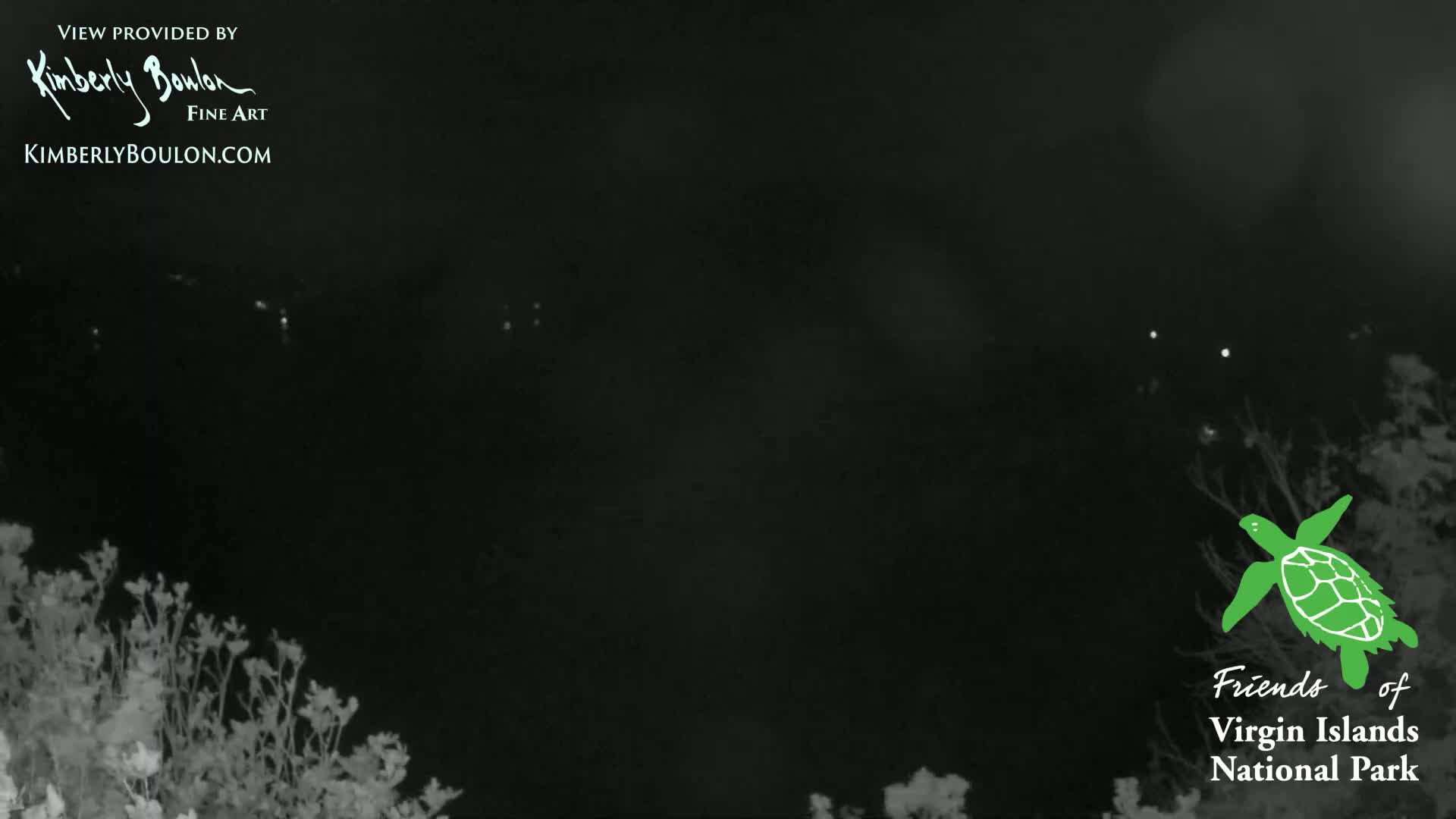A nighttime, dark view shows distant lights over dark water, with vegetation in the foreground.