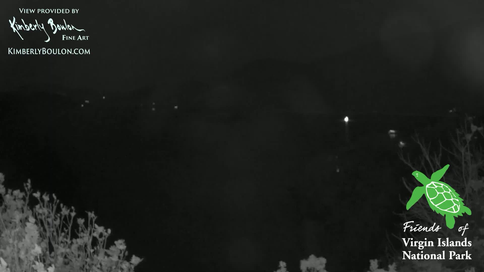 A nighttime, dark view shows distant lights over dark water, with vegetation in the foreground.