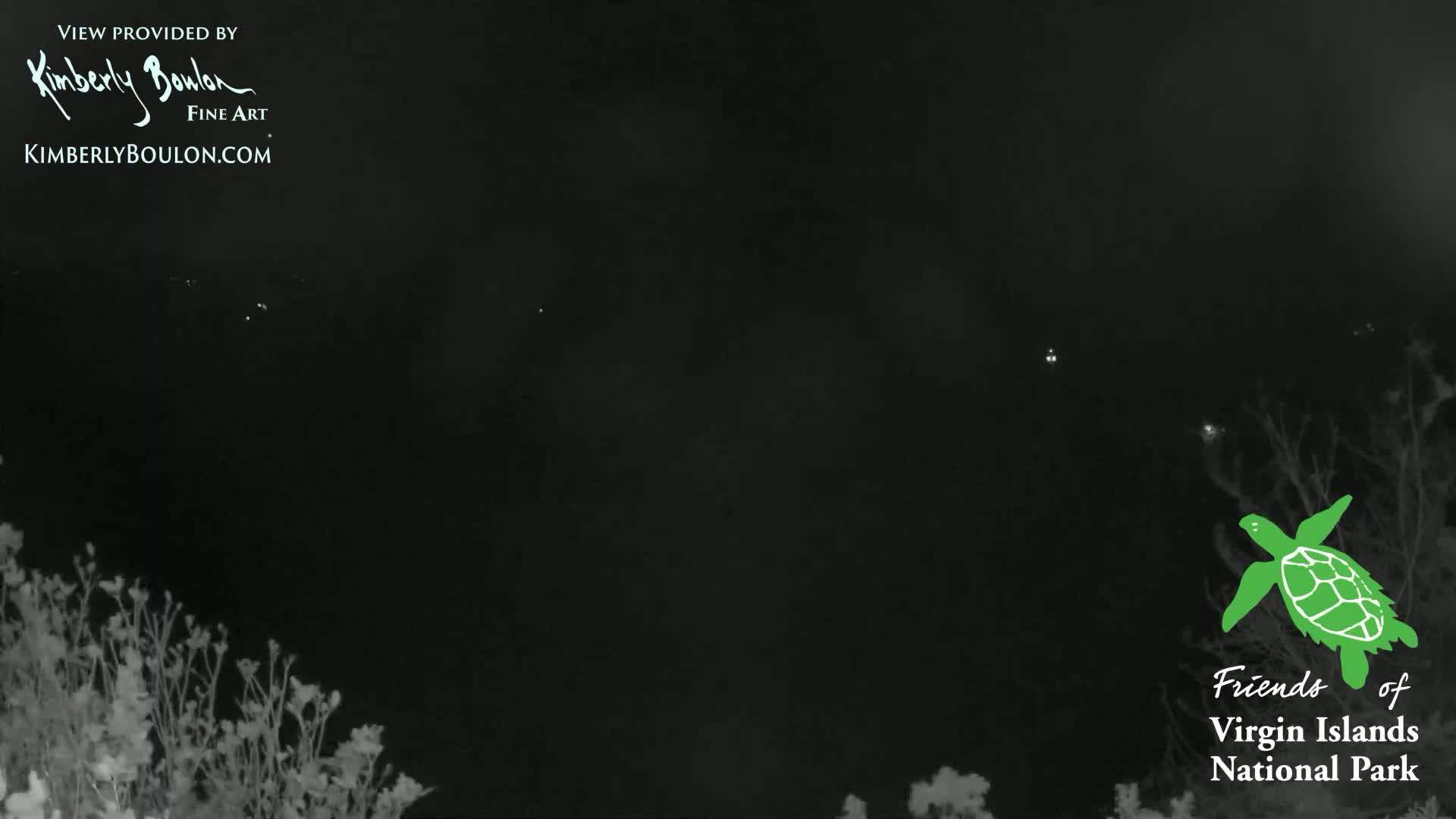 A nighttime, dark scene shows distant lights across a black sky and some vegetation in the foreground.