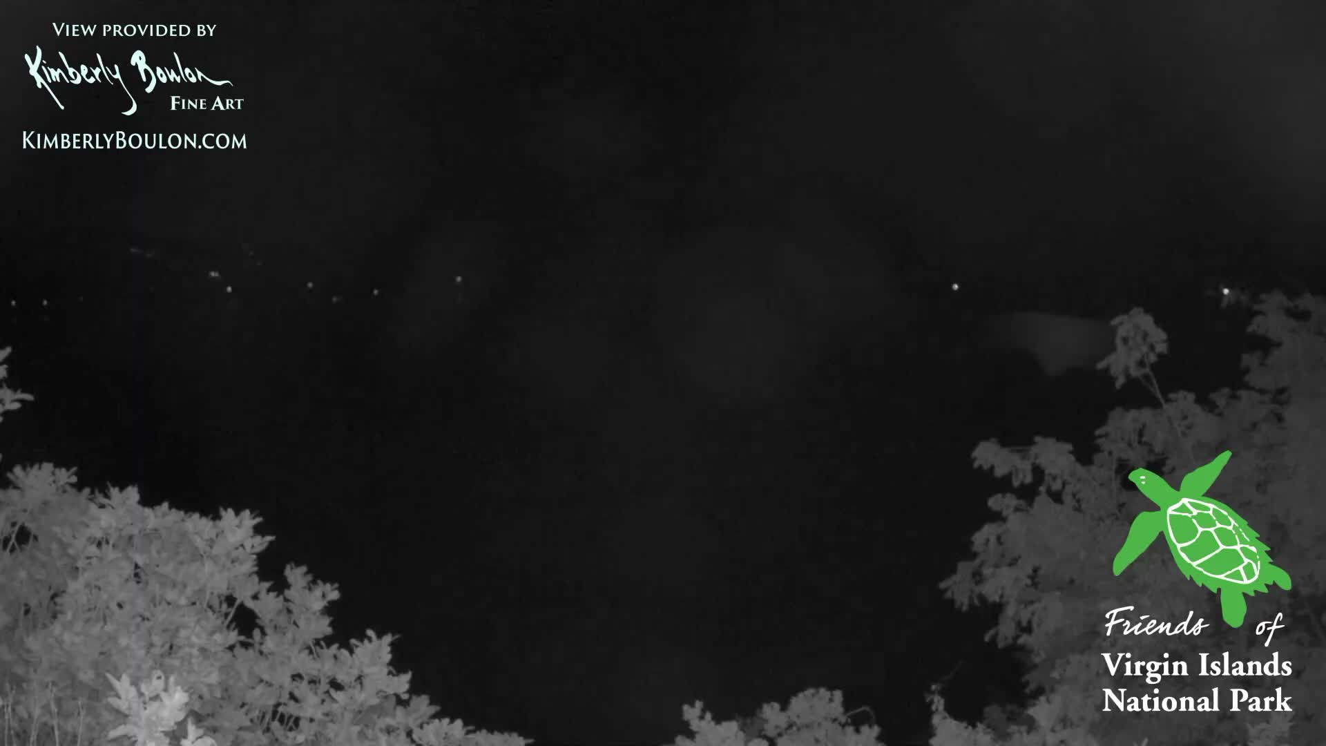 The image displays a clear night scene with dark, silhouetted foliage in the foreground and several small, bright lights visible in the distant dark expanse.