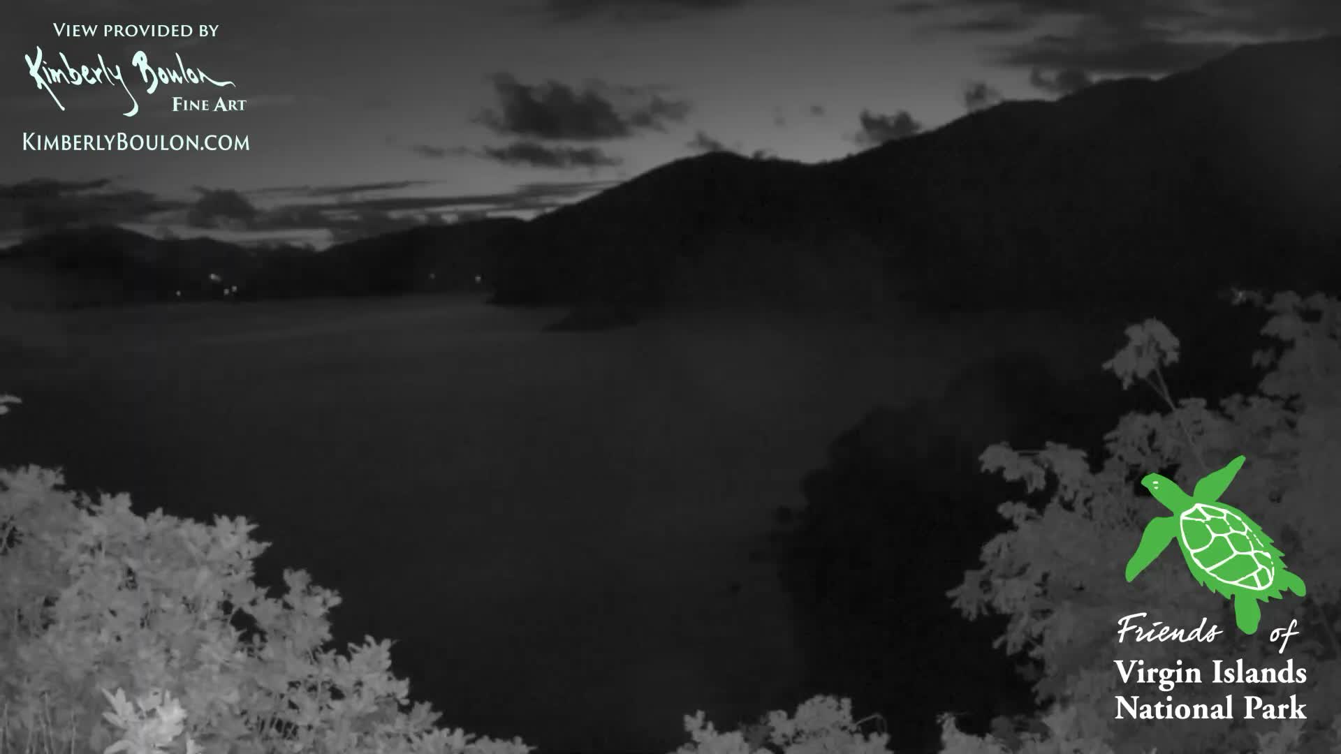 The image displays a clear night scene with dark, silhouetted foliage in the foreground and several small, bright lights visible in the distant dark expanse.