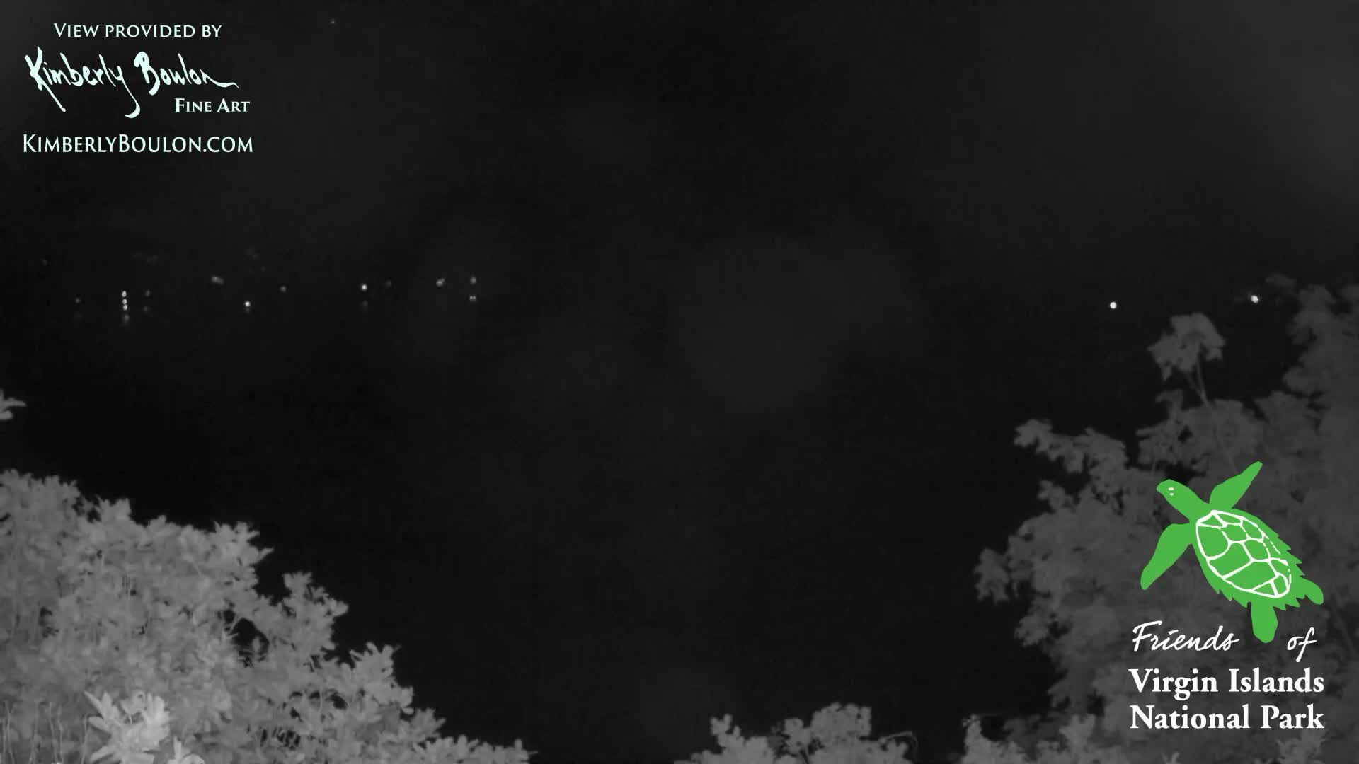 An infrared night vision image captures a dark body of water with distant lights under a clear night sky, framed by dense, light-colored foliage in the foreground.