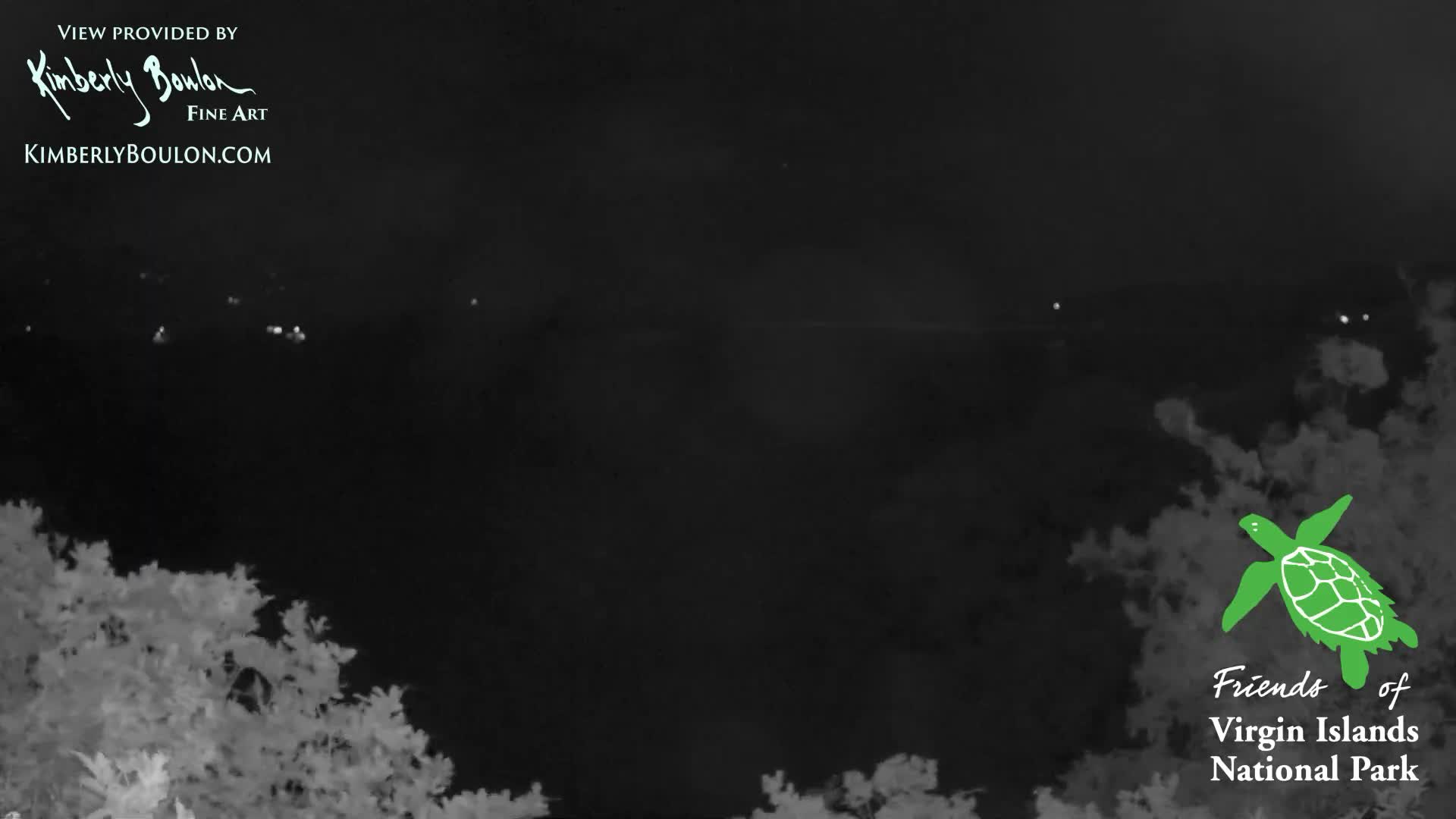 A clear night view in monochrome captures a body of water with distant shore lights and shadowy foreground foliage.