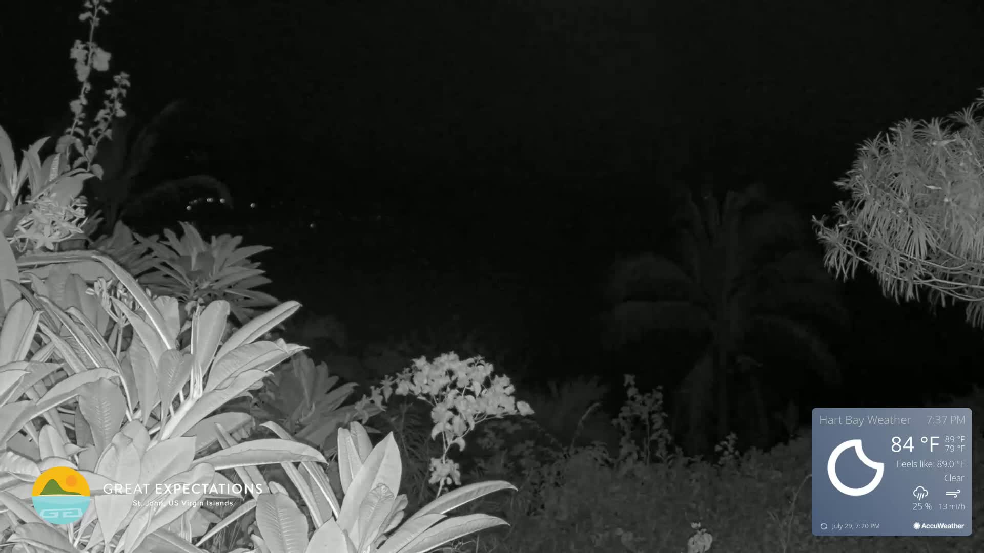 A nighttime view of lush tropical plants under a partly cloudy sky.