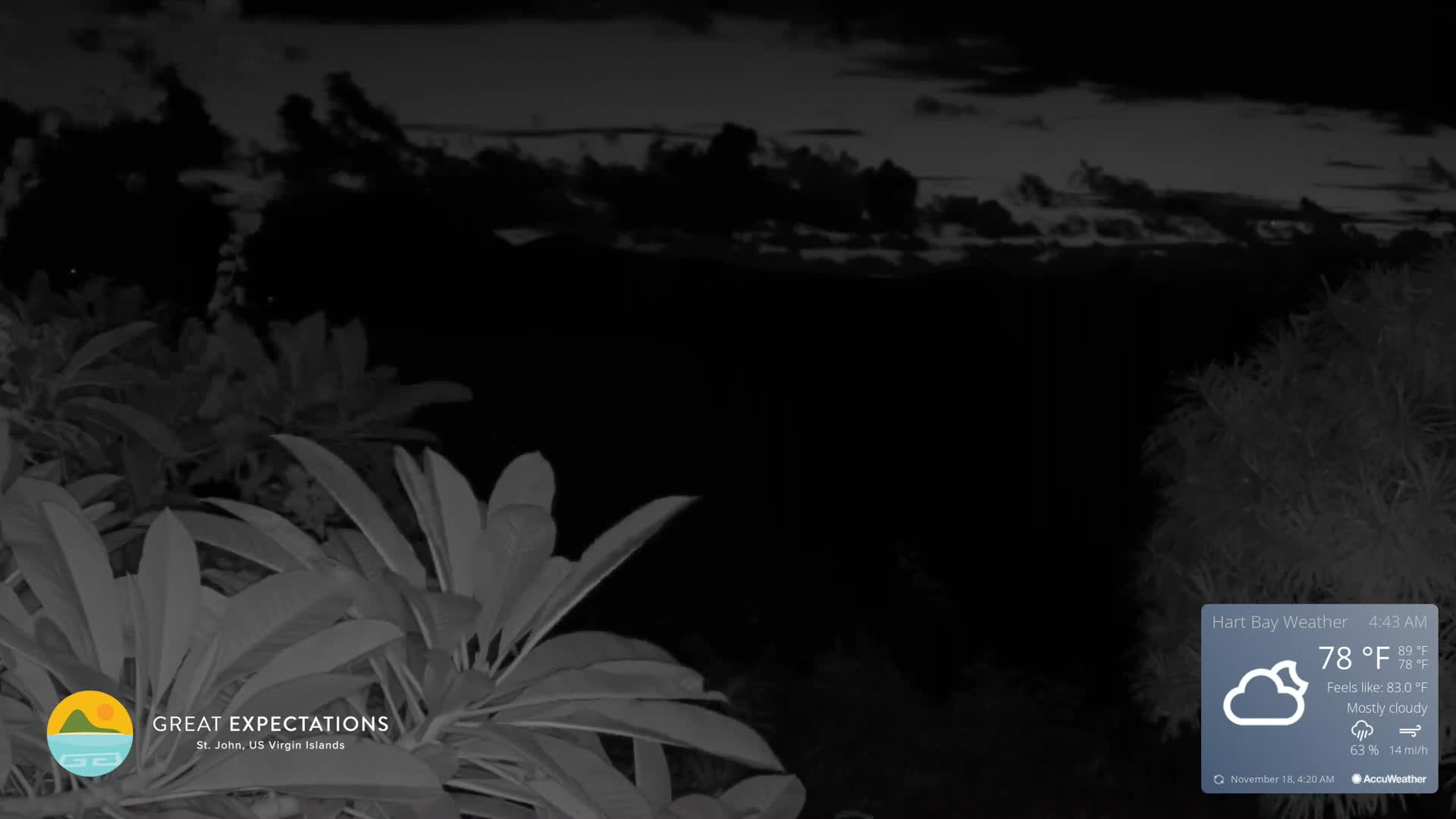 A close-up, infrared view captures dew-covered foliage with a small insect perched on a central leaf, set against a dark nighttime background under mostly clear skies with an outdoor temperature of 80 degrees Fahrenheit.