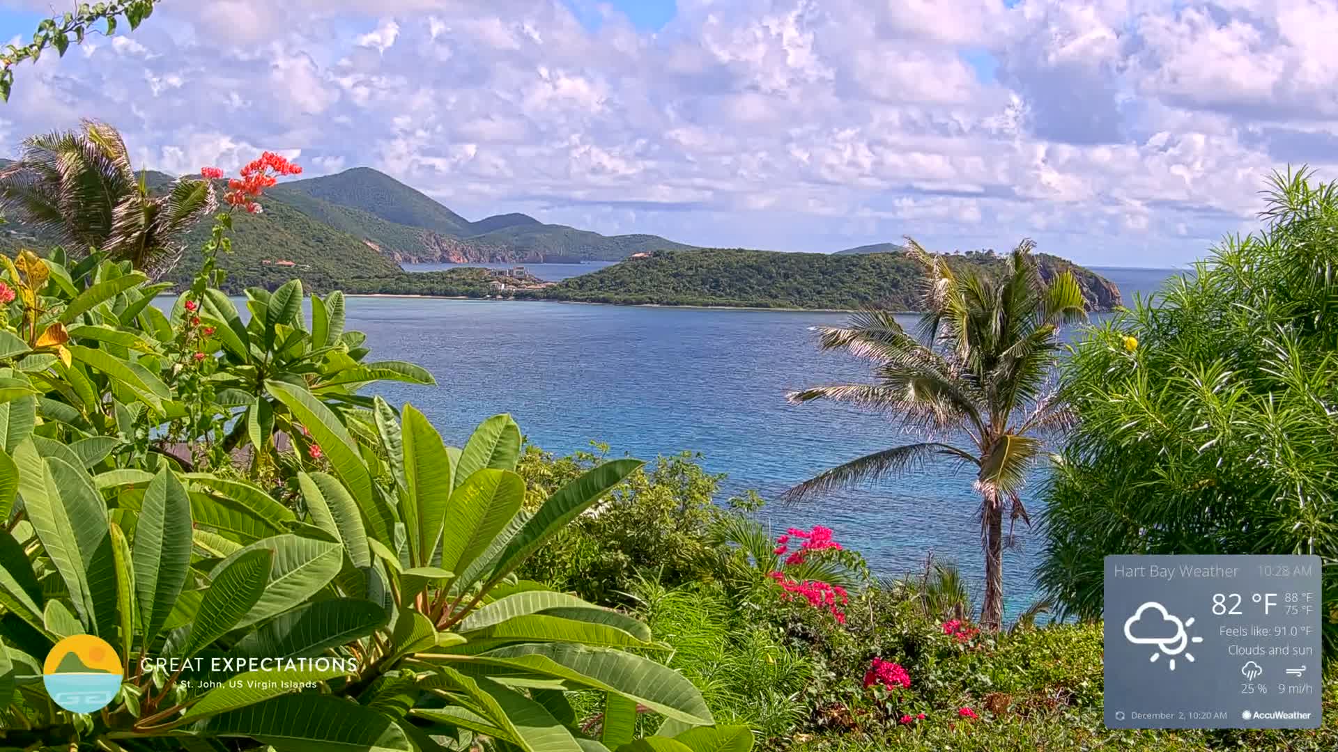 Lush green tropical foliage and vibrant flowers frame a serene blue bay with distant green hills under a sky with scattered clouds and sunshine.
