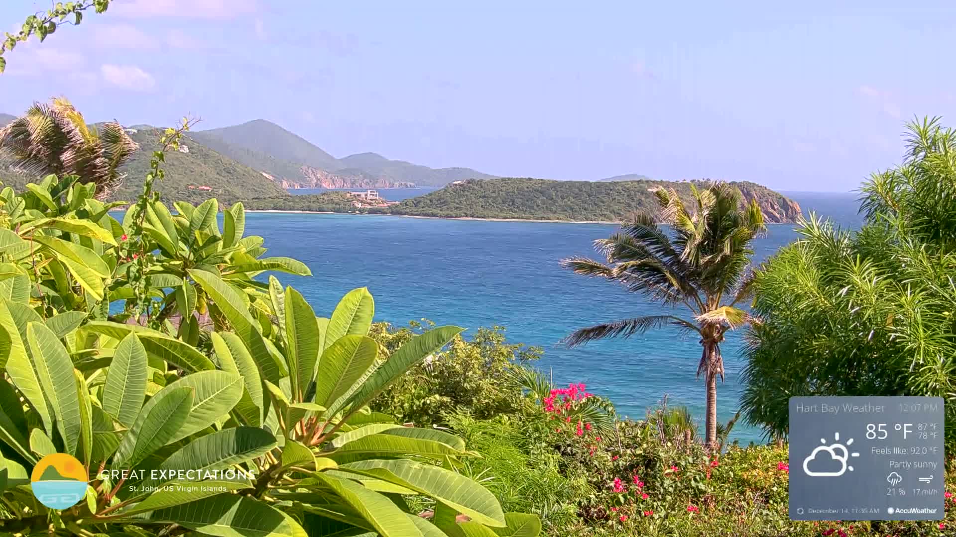 A night-time view shows dense outdoor foliage in grayscale, under clear conditions.