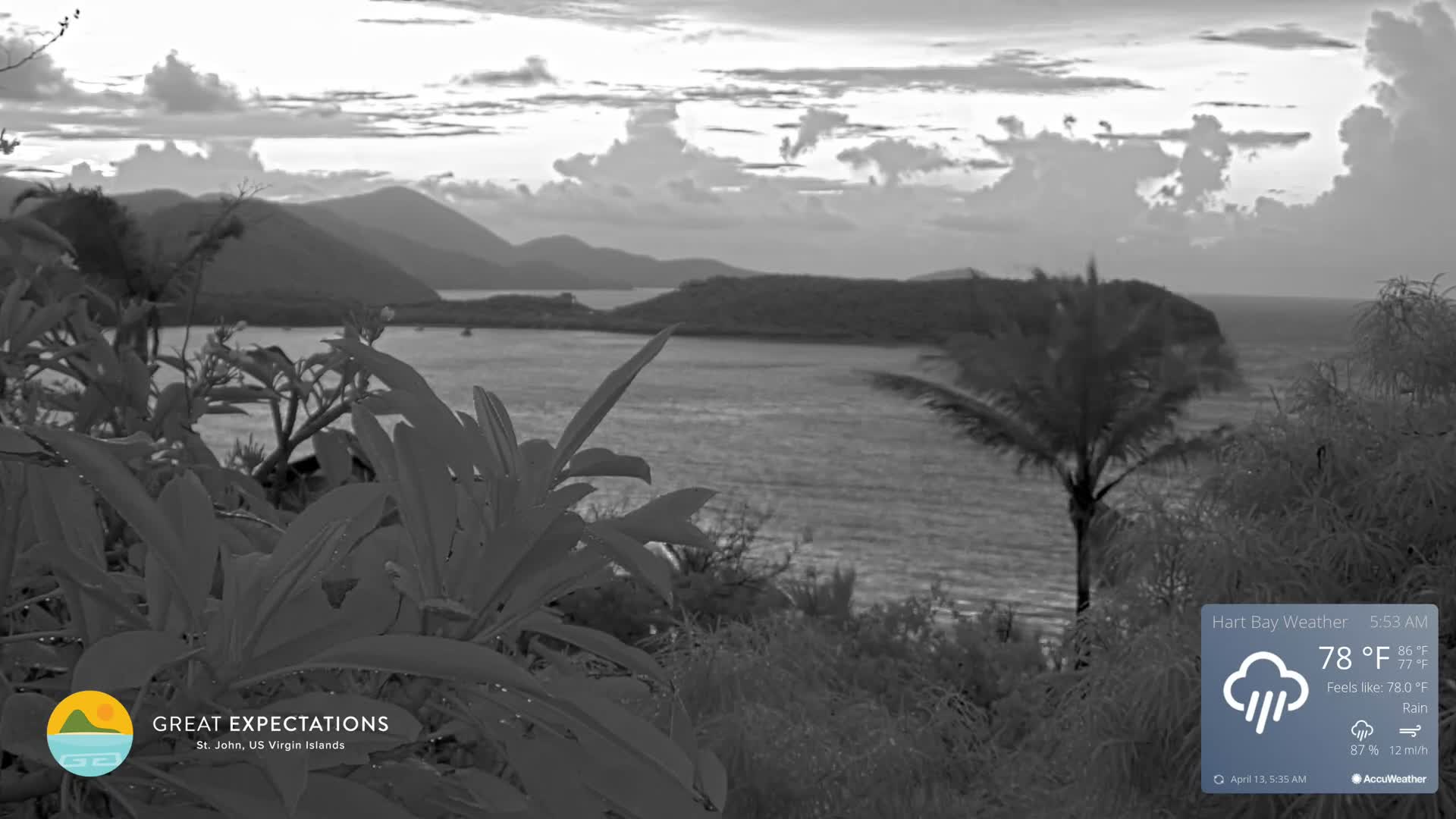 A night-time view shows dense outdoor foliage in grayscale, under clear conditions.