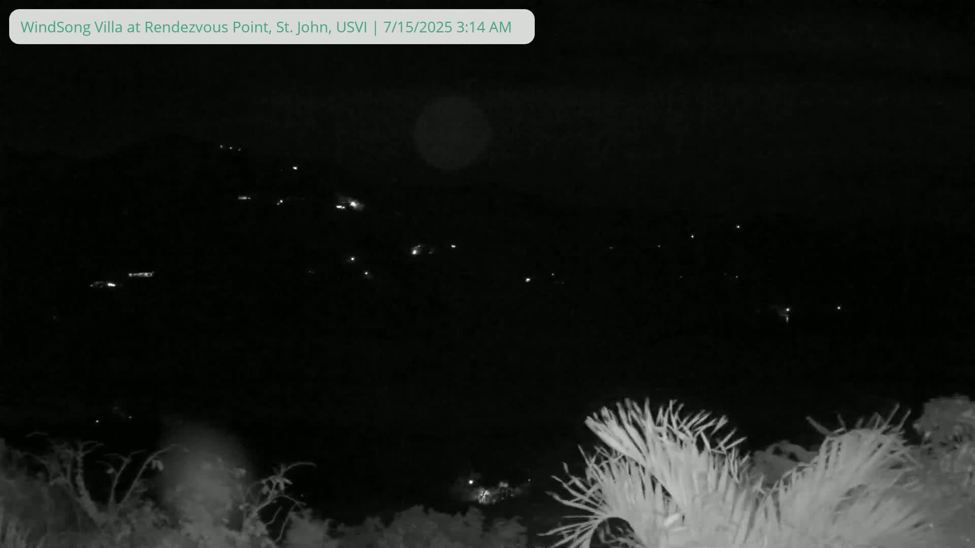 A nighttime, low-light view shows distant lights on a hillside, partially obscured by vegetation in the foreground.
