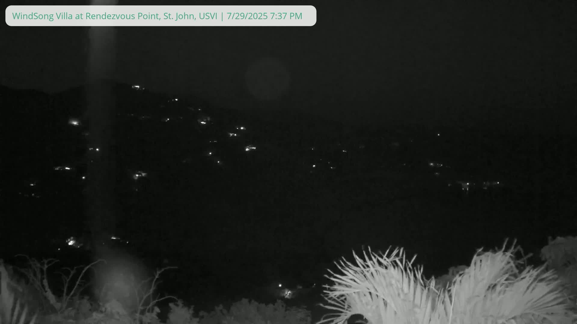 A nighttime, low-light view shows distant lights on a hillside, partially obscured by vegetation in the foreground.