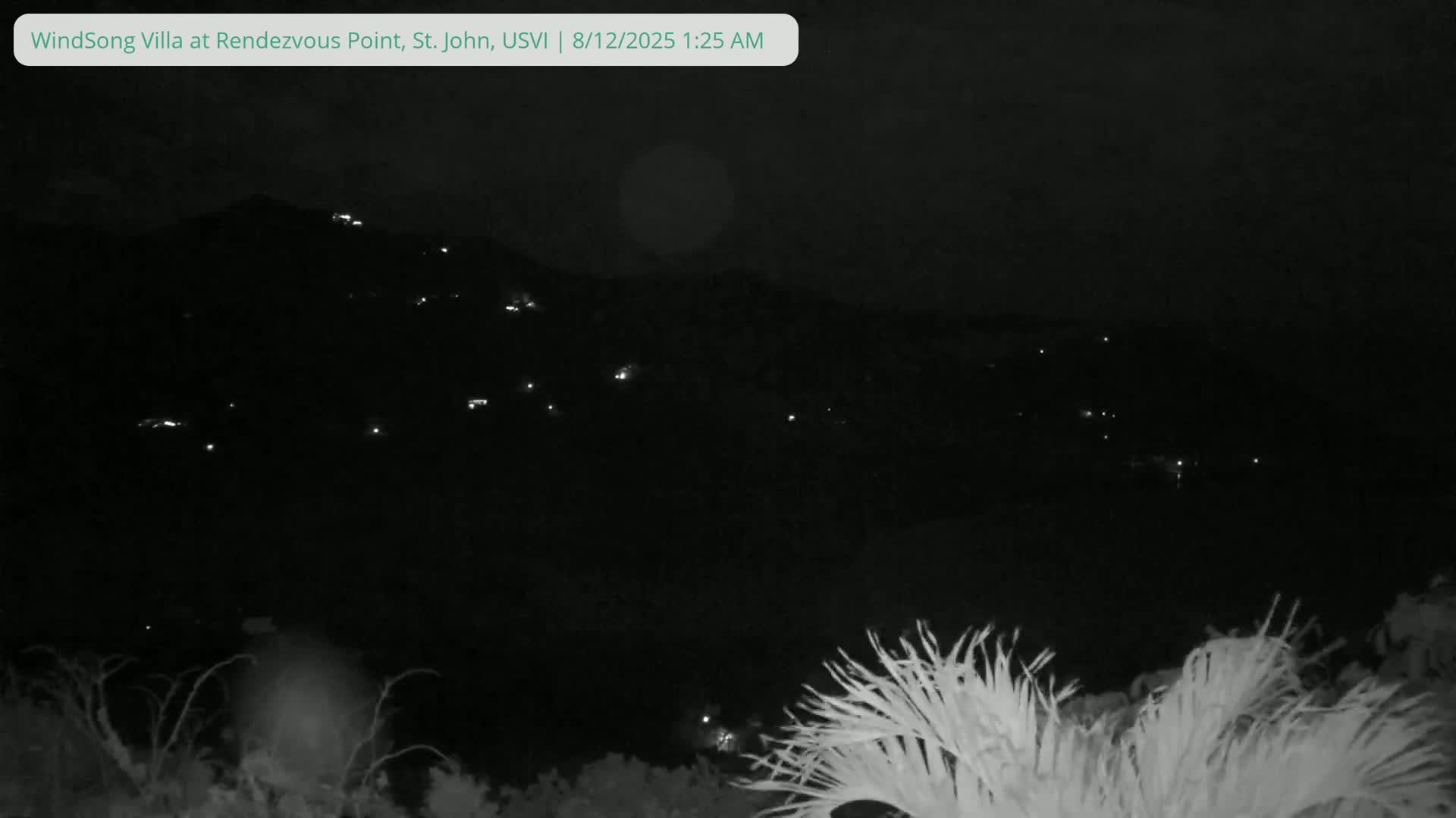 A nighttime view shows a hillside dotted with distant lights, partially obscured by foliage in the foreground under a dark sky.