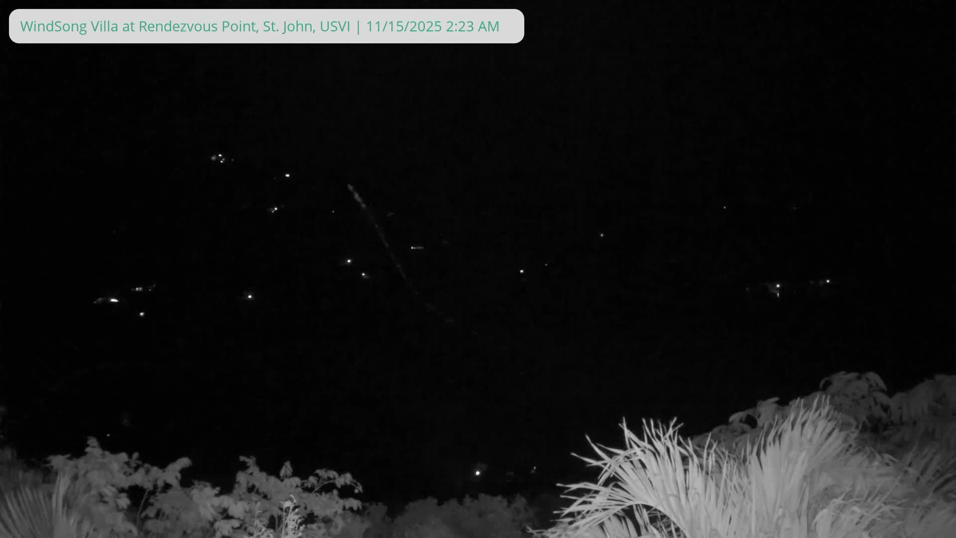 The image depicts a clear night sky sparsely dotted with distant lights, looming over dimly illuminated foliage that occupies the bottom portion of the frame.