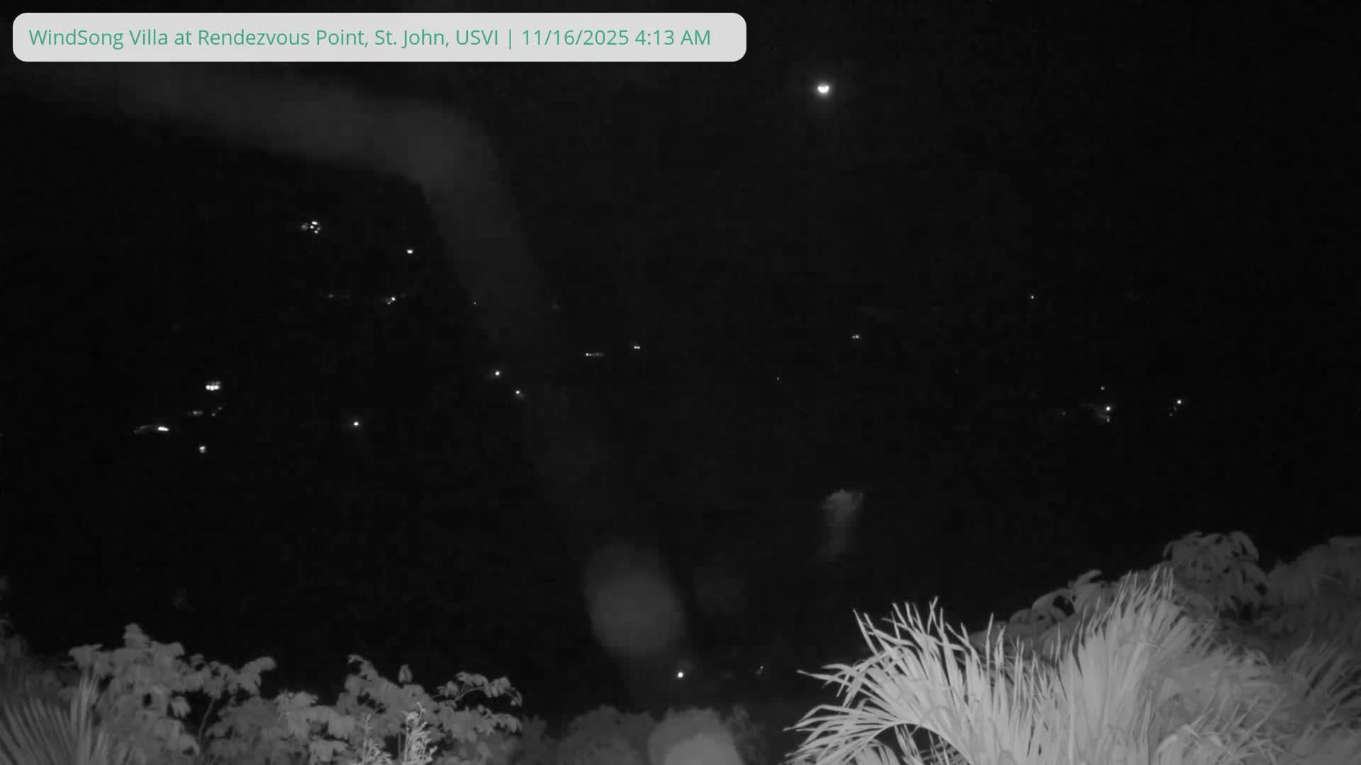 A clear, dark night in infrared reveals a crescent moon and scattered distant lights above prominent, bright white tropical foliage in the foreground.