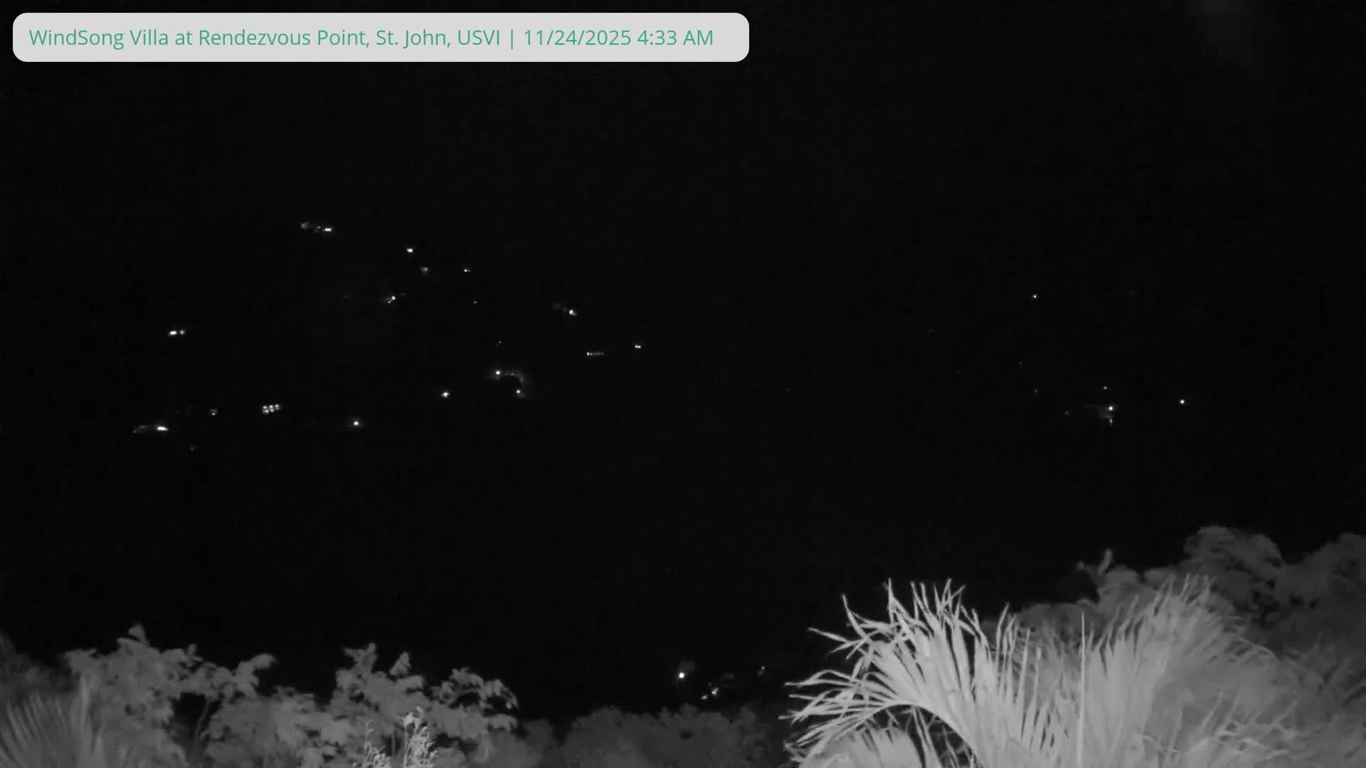 A clear, dark night scene features numerous distant lights scattered across a dark landscape, with blurry, light-toned foliage, including palm fronds, visible in the foreground.