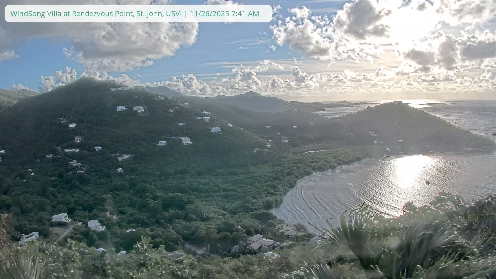 A clear, dark night scene features numerous distant lights scattered across a dark landscape, with blurry, light-toned foliage, including palm fronds, visible in the foreground.