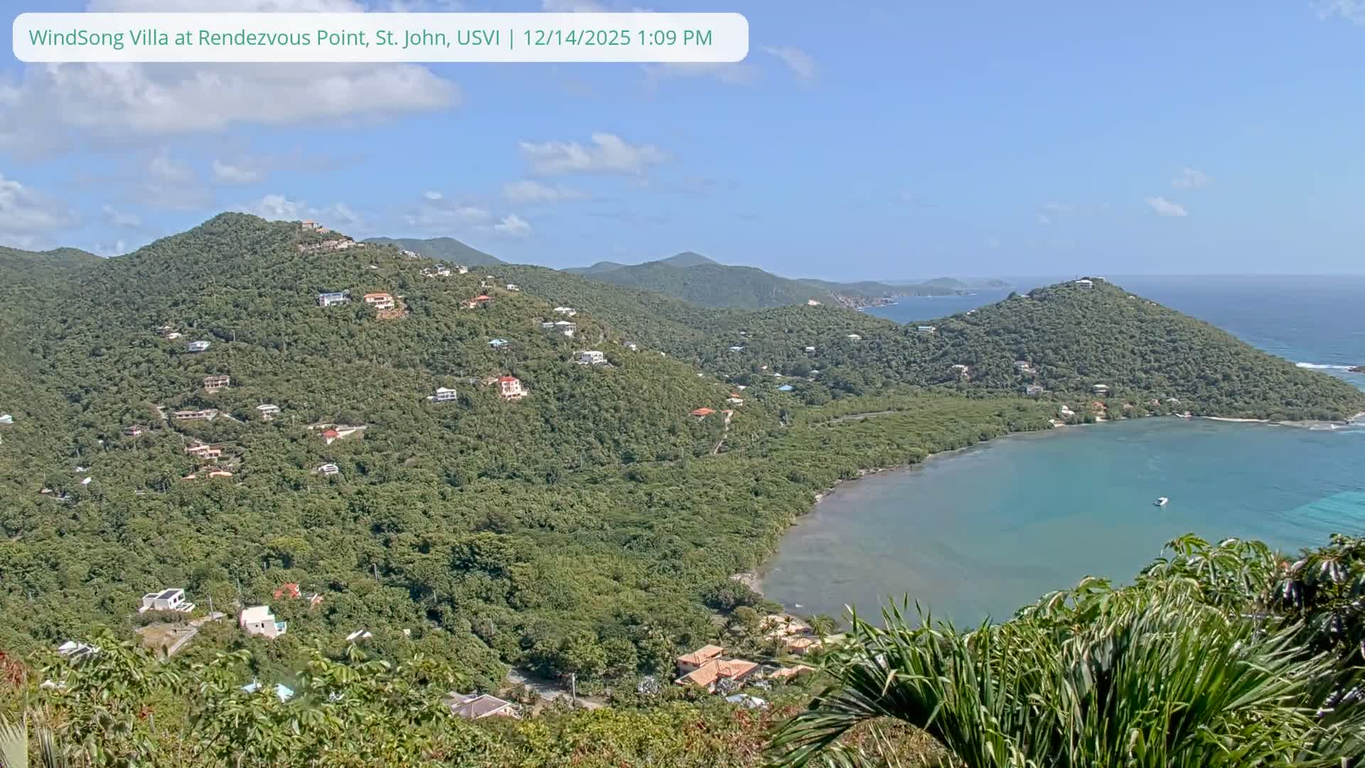A dark, clear night scene reveals scattered lights from buildings across a hilly, forested landscape, with illuminated foliage visible in the foreground.