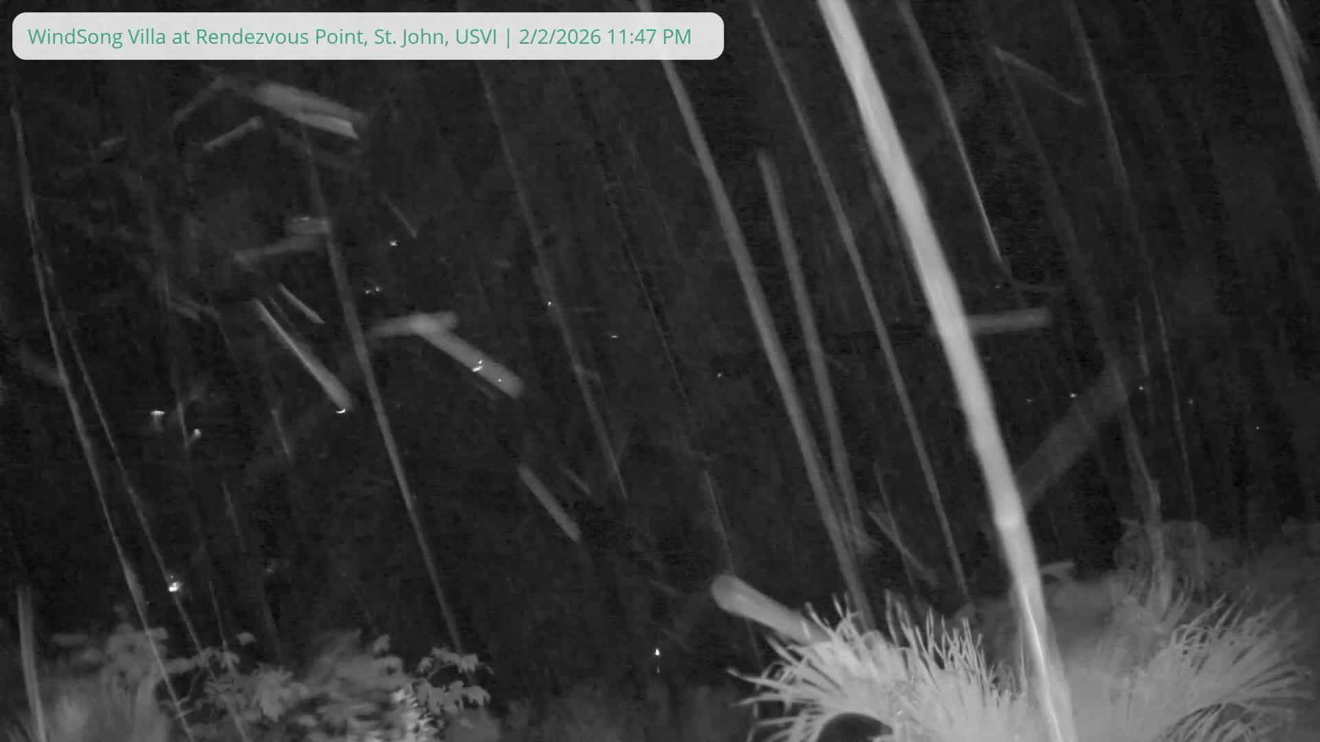 St. John, Fish Bay from Rendezvous and Ditleff Live Cam - Cruz Bay, St. John, United States Virgin Islands, USA