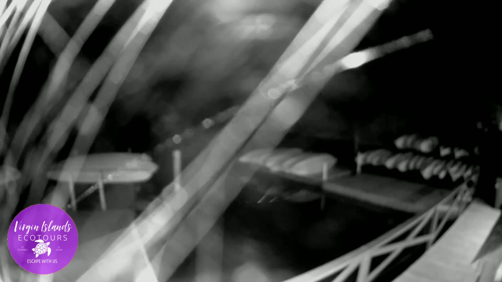 St. Thomas, Bovoni, Mangrove Lagoon Lake Live Cam - Southside, St. Thomas, United States Virgin Islands, USA