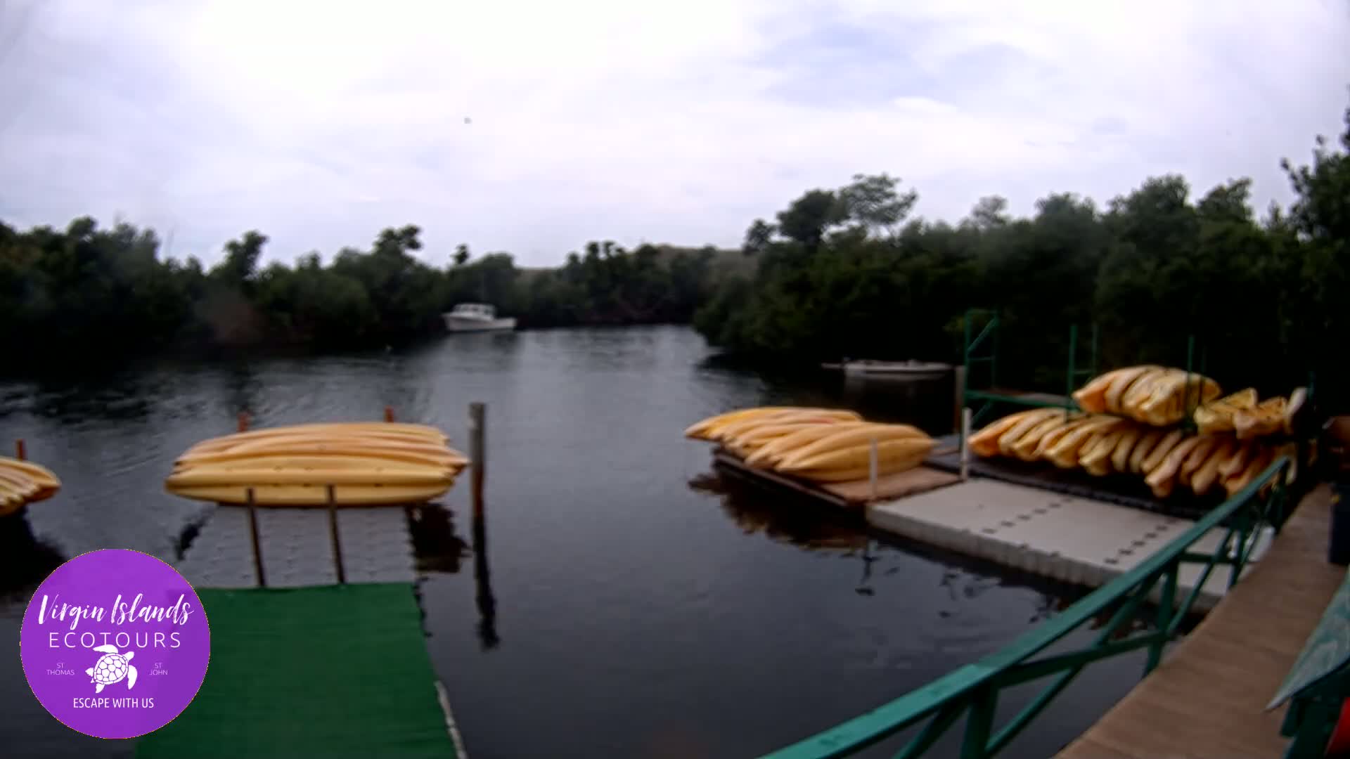 St. Thomas, Bovoni, Mangrove Lagoon Lake Live Cam - Southside, St. Thomas, United States Virgin Islands, USA