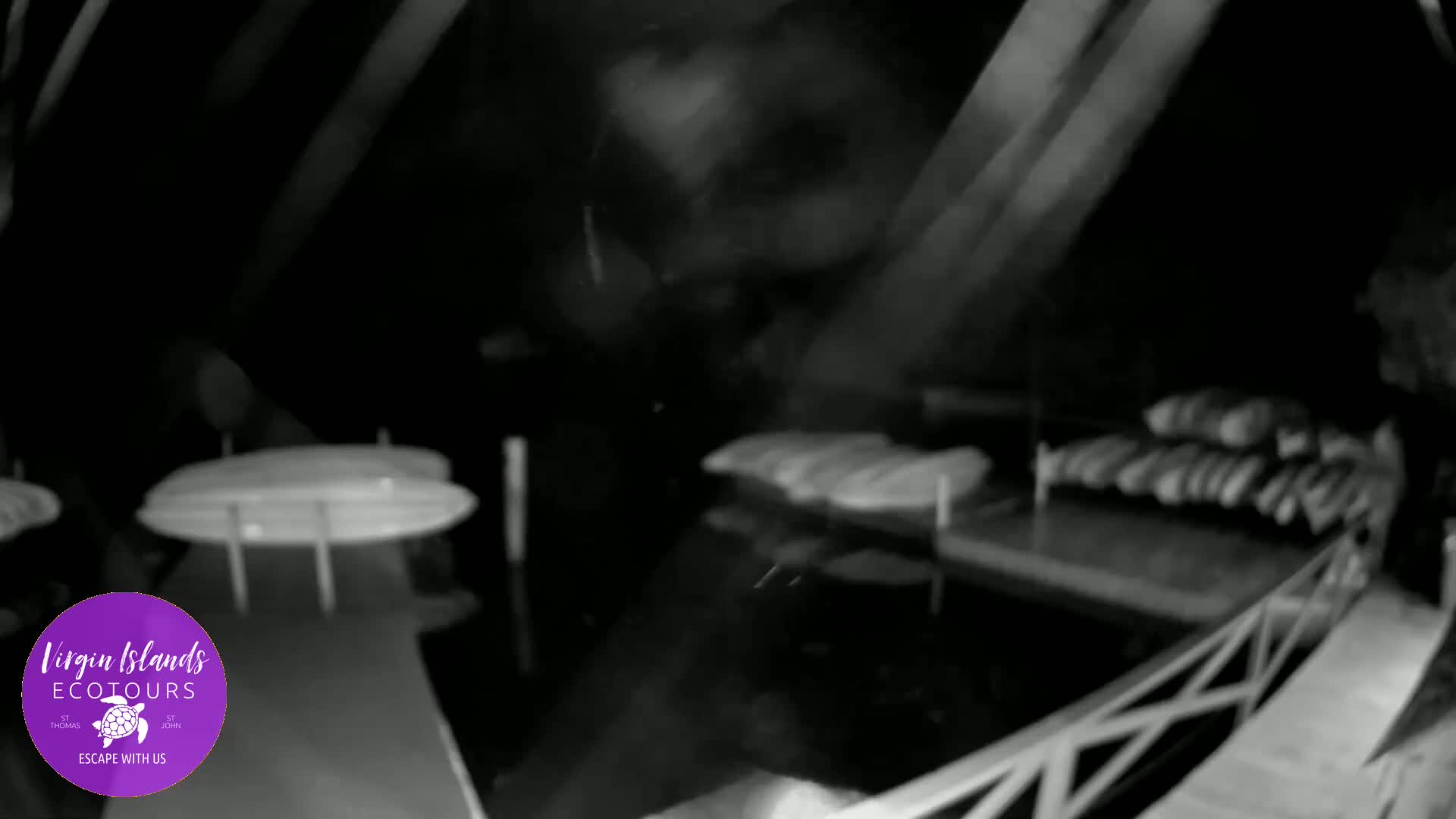A nighttime, low-light view shows a dark body of water with several boats docked at a pier, under a mostly obscured structure.