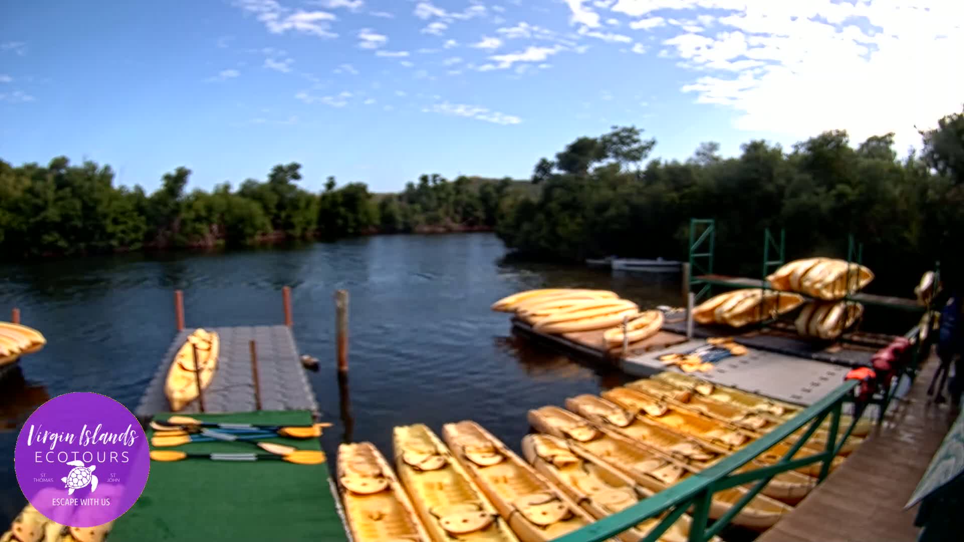 St. Thomas, Bovoni, Mangrove Lagoon Lake Live Cam - Southside, St. Thomas, United States Virgin Islands, USA