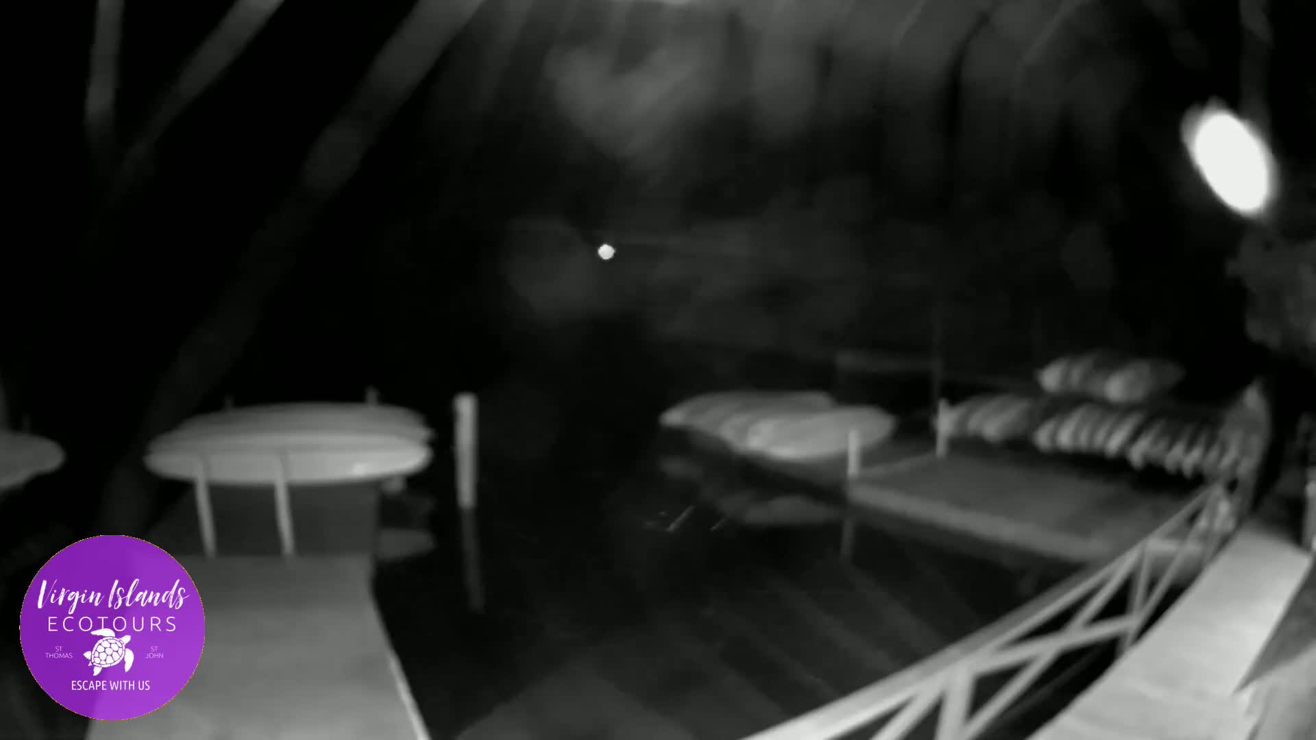 St. Thomas, Bovoni, Mangrove Lagoon Lake Live Cam - Southside, St. Thomas, United States Virgin Islands, USA