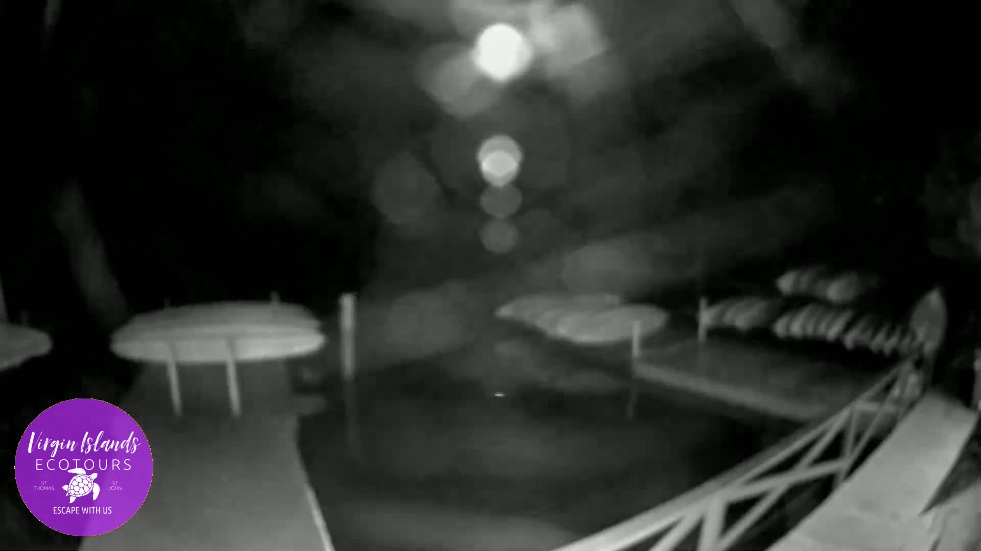 St. Thomas, Bovoni, Mangrove Lagoon Lake Live Cam - Southside, St. Thomas, United States Virgin Islands, USA