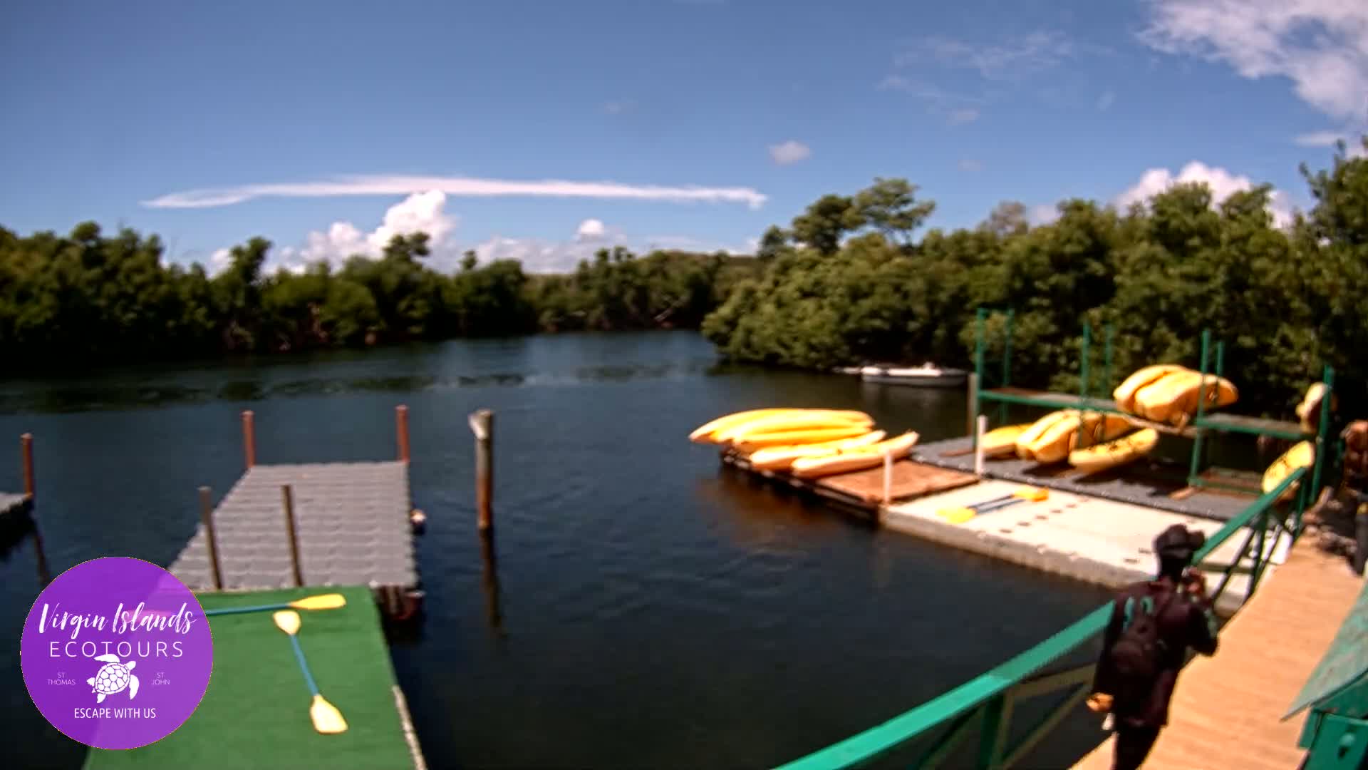 St. Thomas, Bovoni, Mangrove Lagoon Lake Live Cam - Southside, St. Thomas, United States Virgin Islands, USA