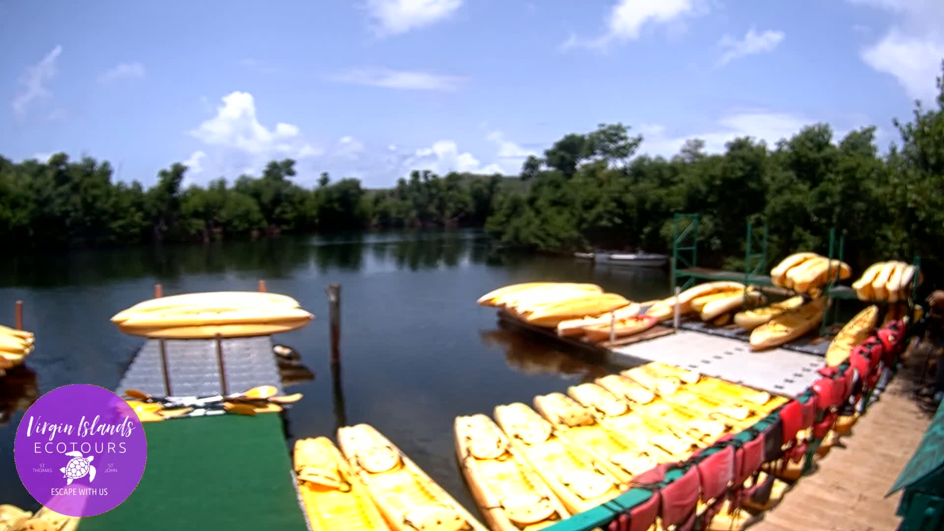 St. Thomas, Bovoni, Mangrove Lagoon Lake Live Cam - Southside, St. Thomas, United States Virgin Islands, USA