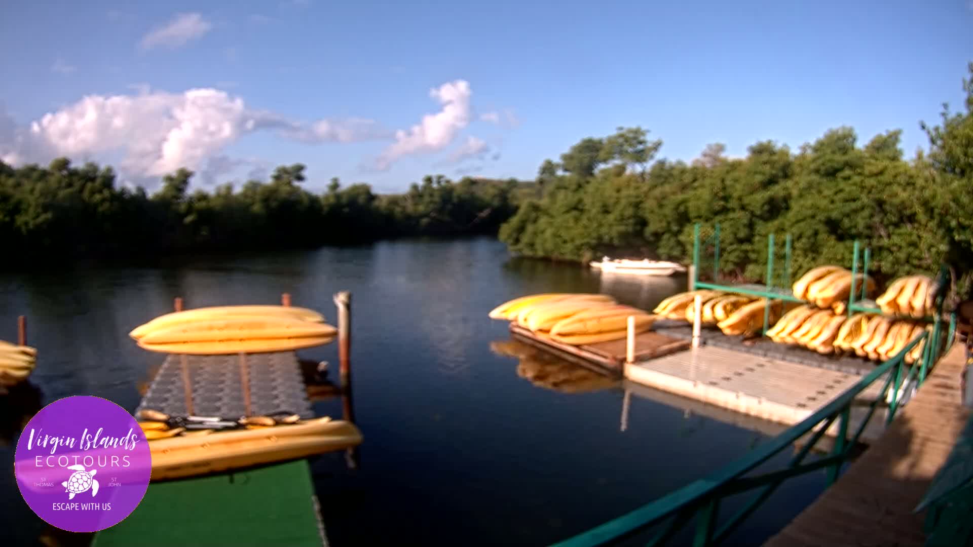 St. Thomas, Bovoni, Mangrove Lagoon Lake Live Cam - Southside, St. Thomas, United States Virgin Islands, USA