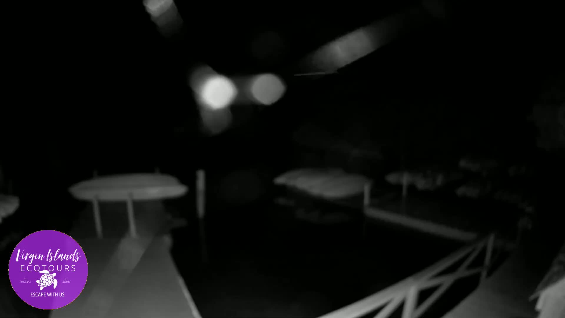 St. Thomas, Bovoni, Mangrove Lagoon Lake Live Cam - Southside, St. Thomas, United States Virgin Islands, USA
