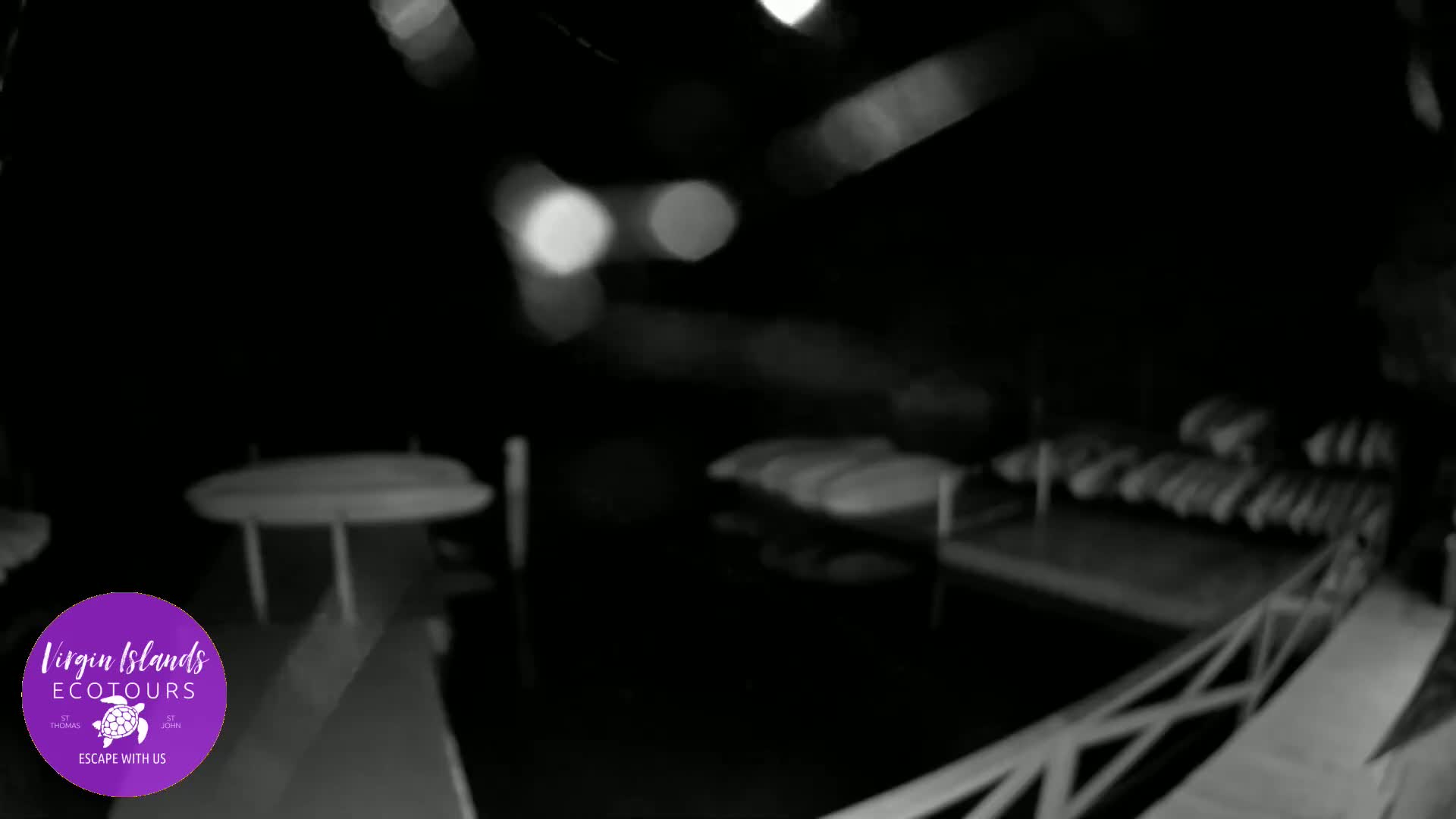 St. Thomas, Bovoni, Mangrove Lagoon Lake Live Cam - Southside, St. Thomas, United States Virgin Islands, USA
