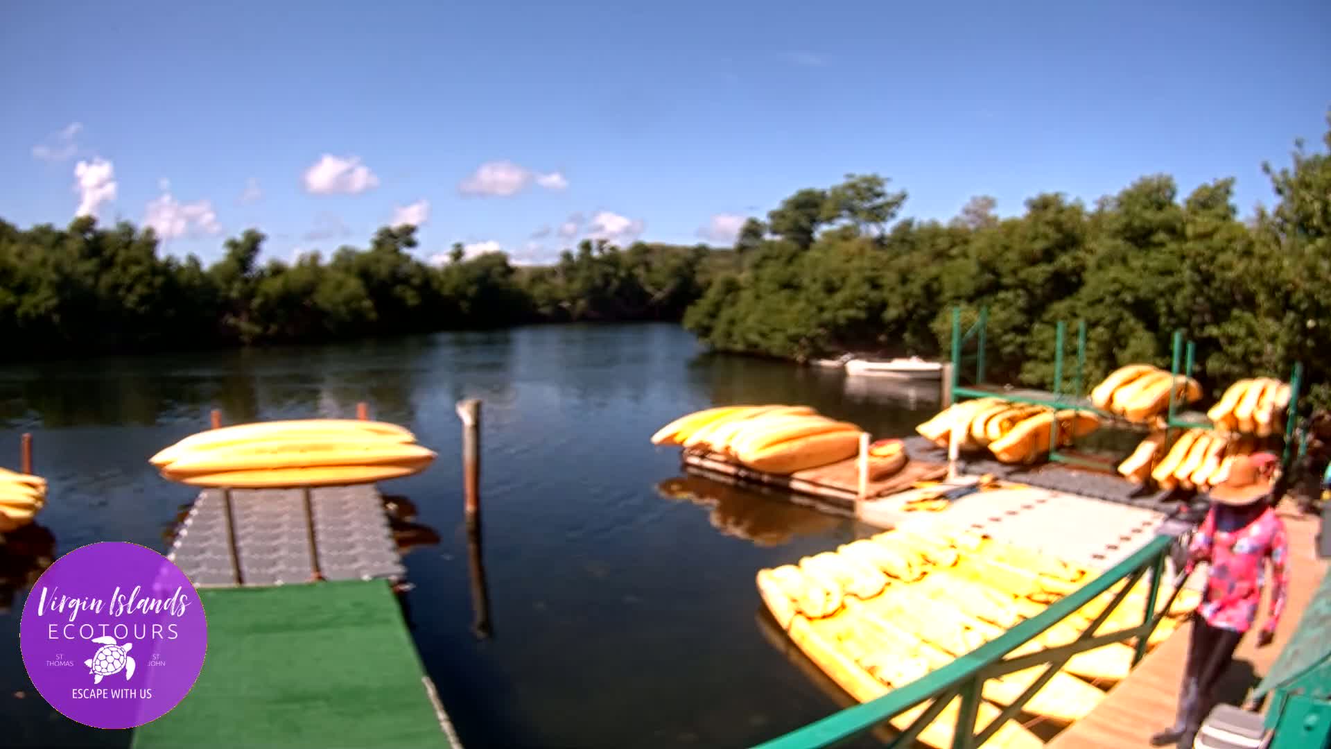 St. Thomas, Bovoni, Mangrove Lagoon Lake Live Cam - Southside, St. Thomas, United States Virgin Islands, USA