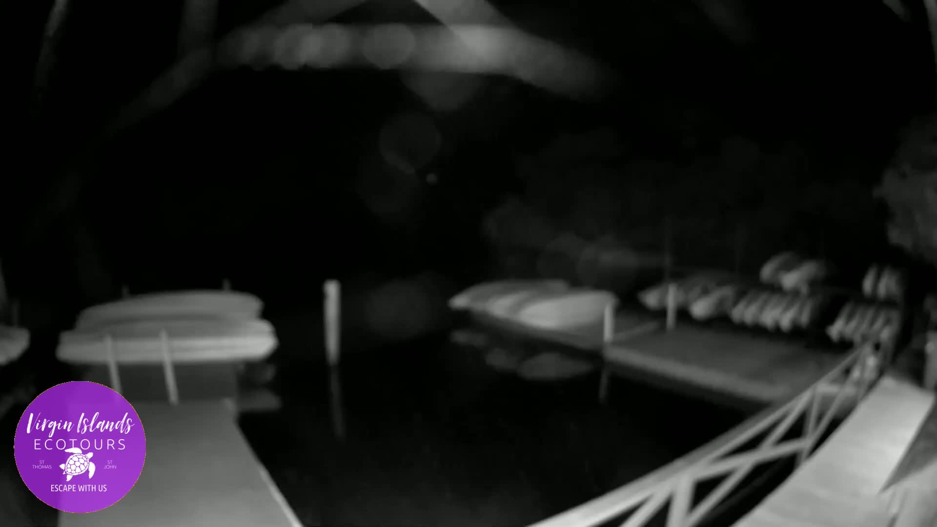 St. Thomas, Bovoni, Mangrove Lagoon Lake Live Cam - Southside, St. Thomas, United States Virgin Islands, USA