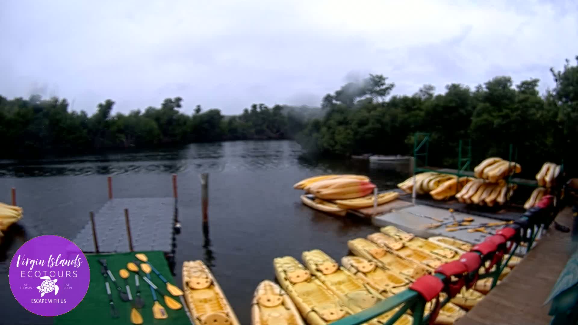 St. Thomas, Bovoni, Mangrove Lagoon Lake Live Cam - Southside, St. Thomas, United States Virgin Islands, USA