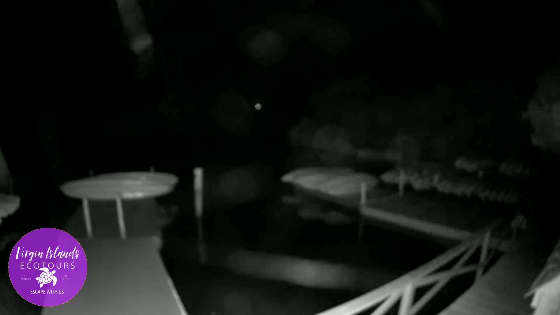 St. Thomas, Bovoni, Mangrove Lagoon Lake Live Cam - Southside, St. Thomas, United States Virgin Islands, USA