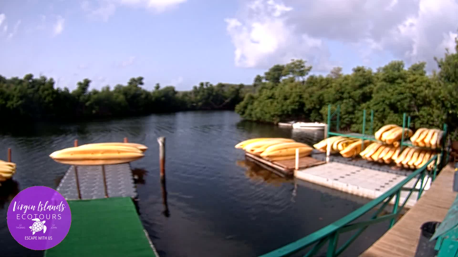 St. Thomas, Bovoni, Mangrove Lagoon Lake Live Cam - Southside, St. Thomas, United States Virgin Islands, USA