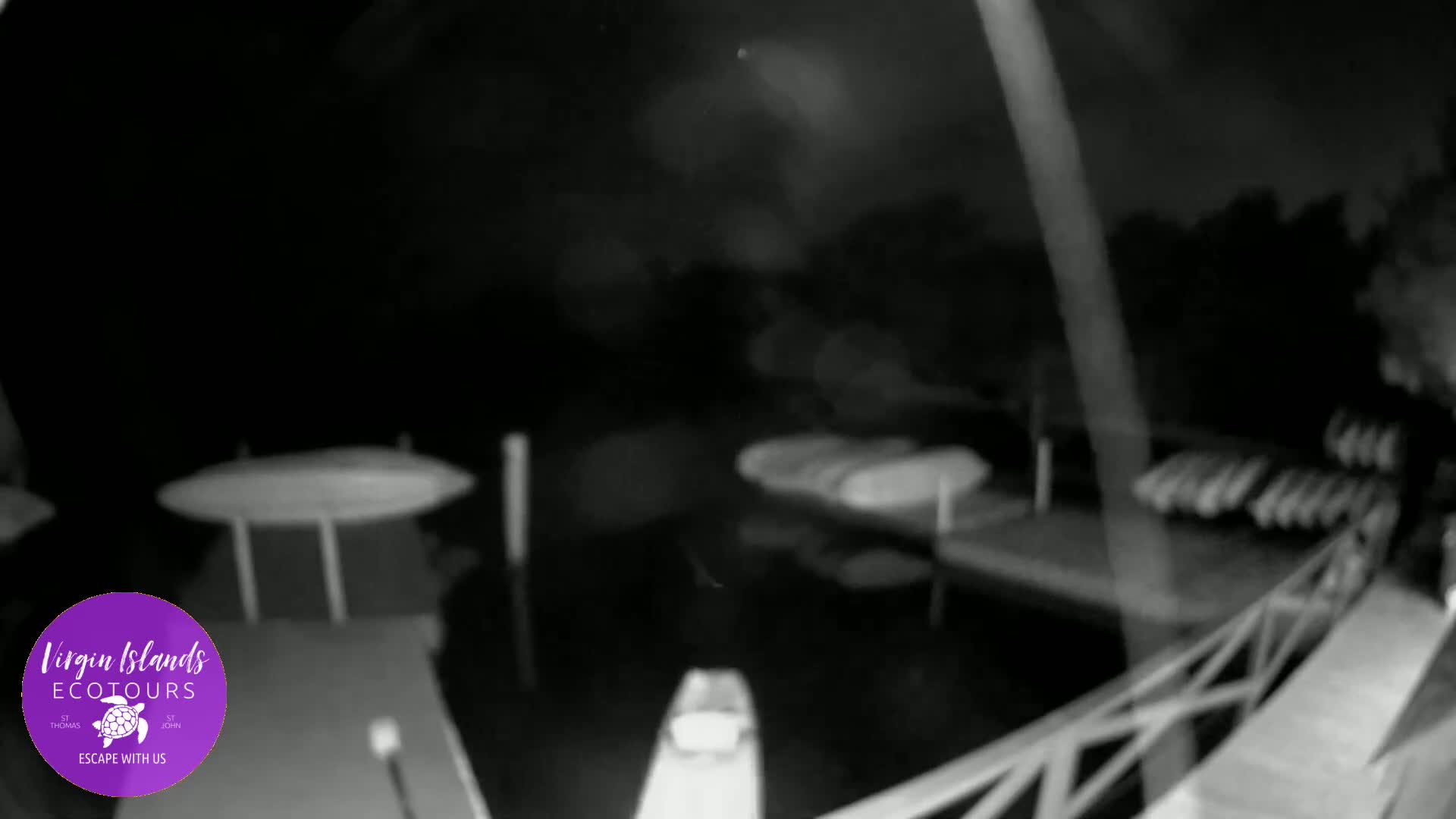 A nighttime, low-light view shows a dark body of water with several boats docked at a pier, under a mostly obscured structure.