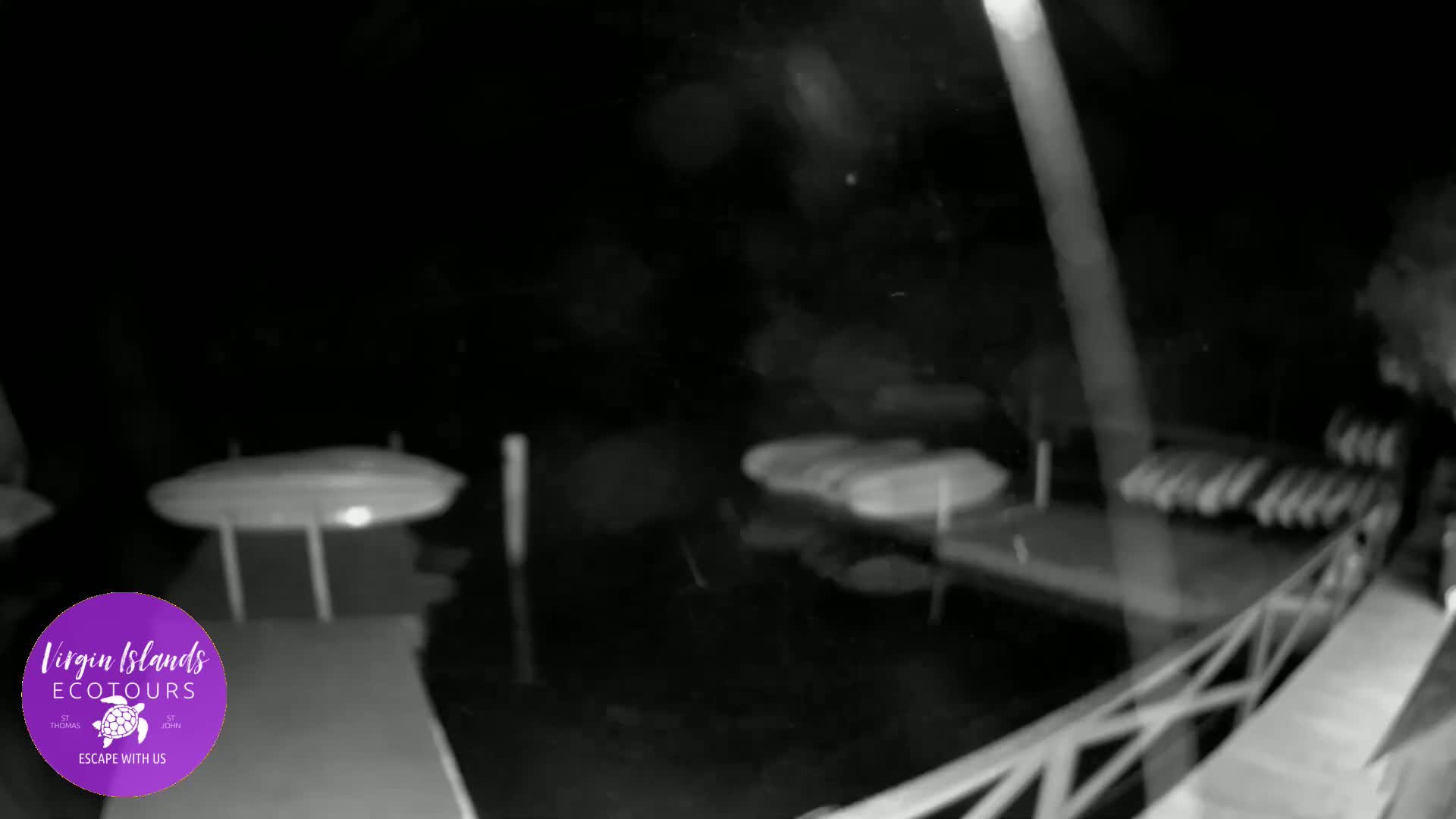 St. Thomas, Bovoni, Mangrove Lagoon Lake Live Cam - Southside, St. Thomas, United States Virgin Islands, USA