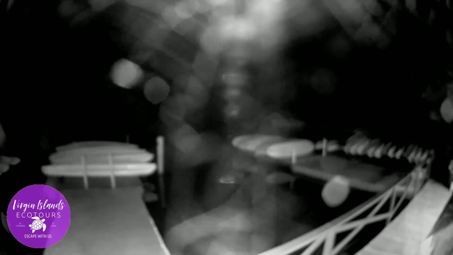 St. Thomas, Bovoni, Mangrove Lagoon Lake Live Cam - Southside, St. Thomas, United States Virgin Islands, USA