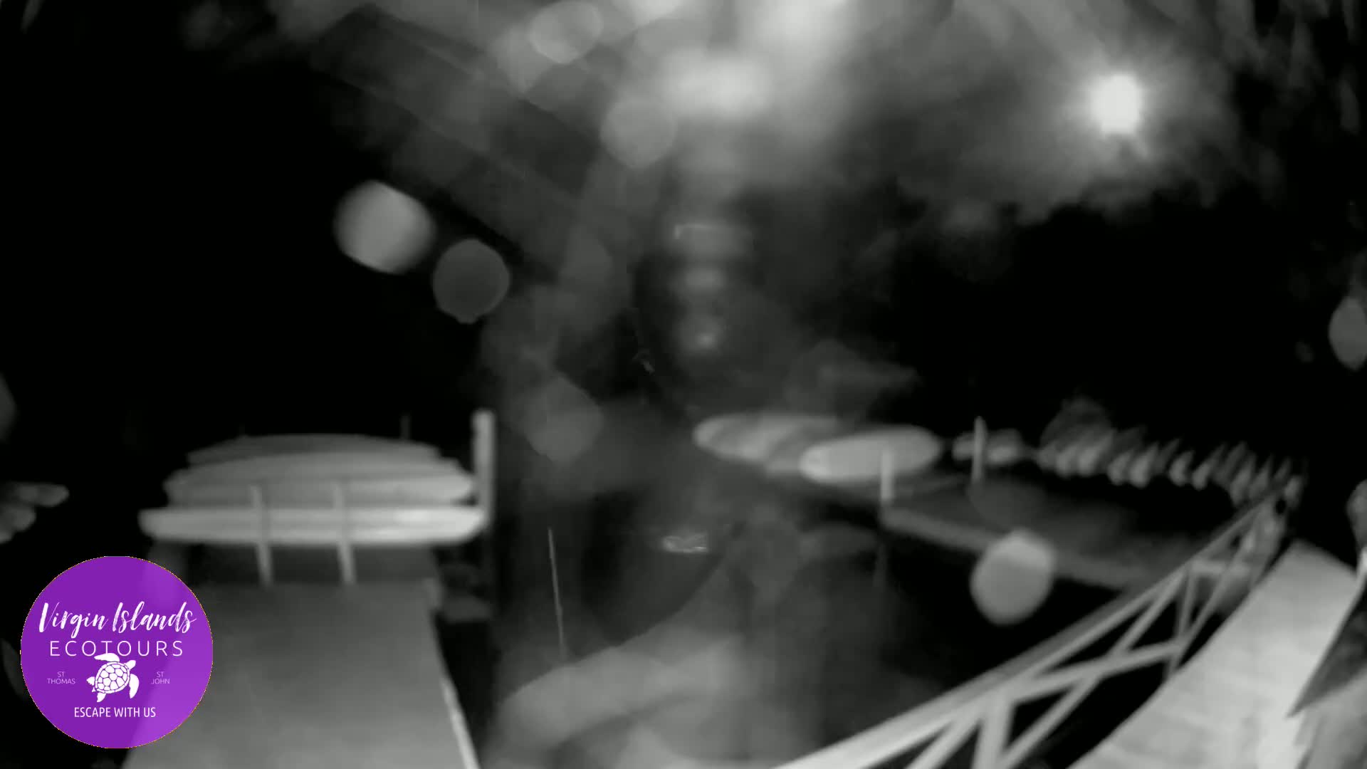 A nighttime, rain-blurred view shows several paddleboards stacked on a dock.