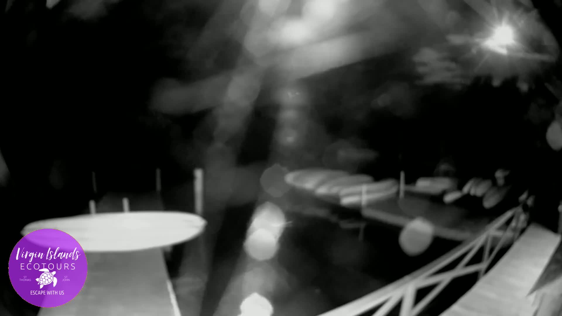 St. Thomas, Bovoni, Mangrove Lagoon Lake Live Cam - Southside, St. Thomas, United States Virgin Islands, USA