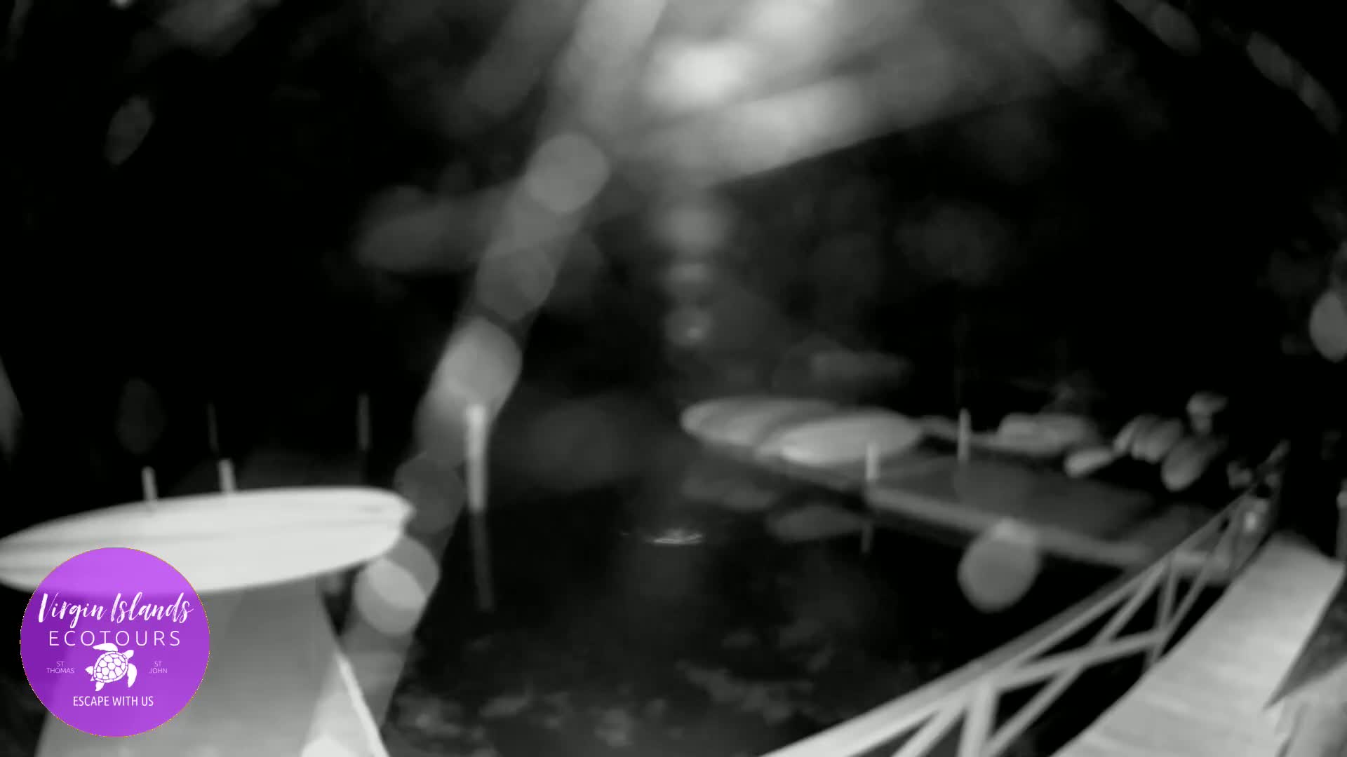 St. Thomas, Bovoni, Mangrove Lagoon Lake Live Cam - Southside, St. Thomas, United States Virgin Islands, USA