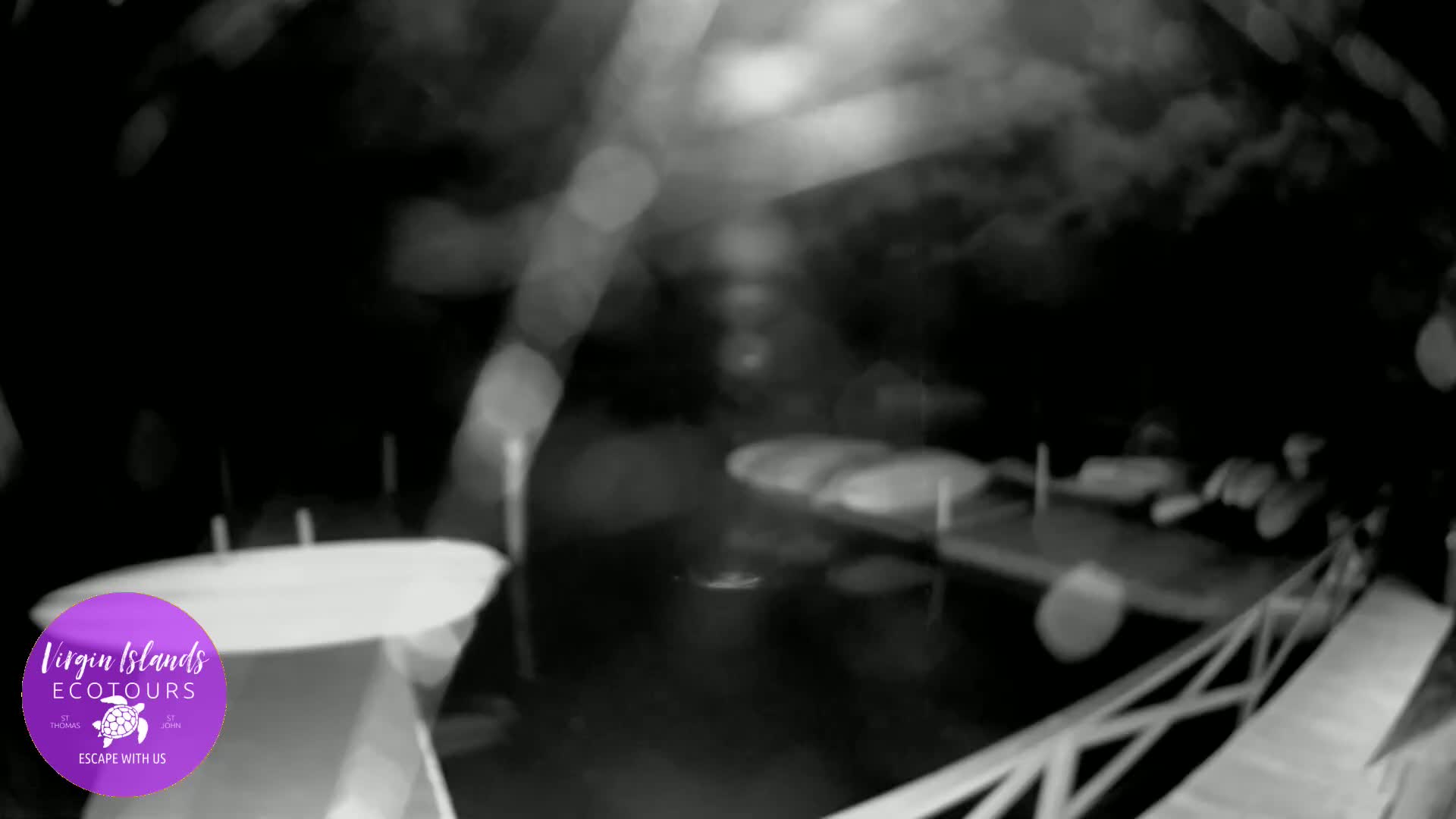 St. Thomas, Bovoni, Mangrove Lagoon Lake Live Cam - Southside, St. Thomas, United States Virgin Islands, USA