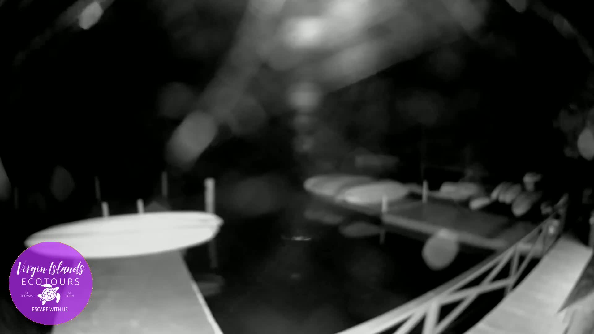 St. Thomas, Bovoni, Mangrove Lagoon Lake Live Cam - Southside, St. Thomas, United States Virgin Islands, USA