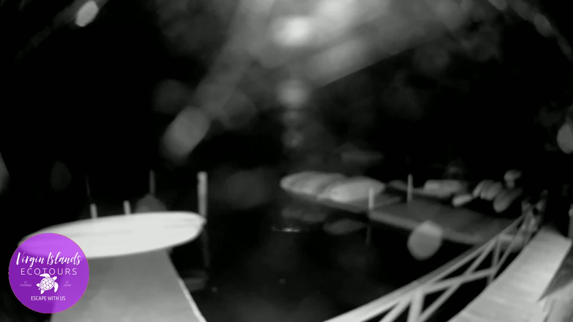 St. Thomas, Bovoni, Mangrove Lagoon Lake Live Cam - Southside, St. Thomas, United States Virgin Islands, USA