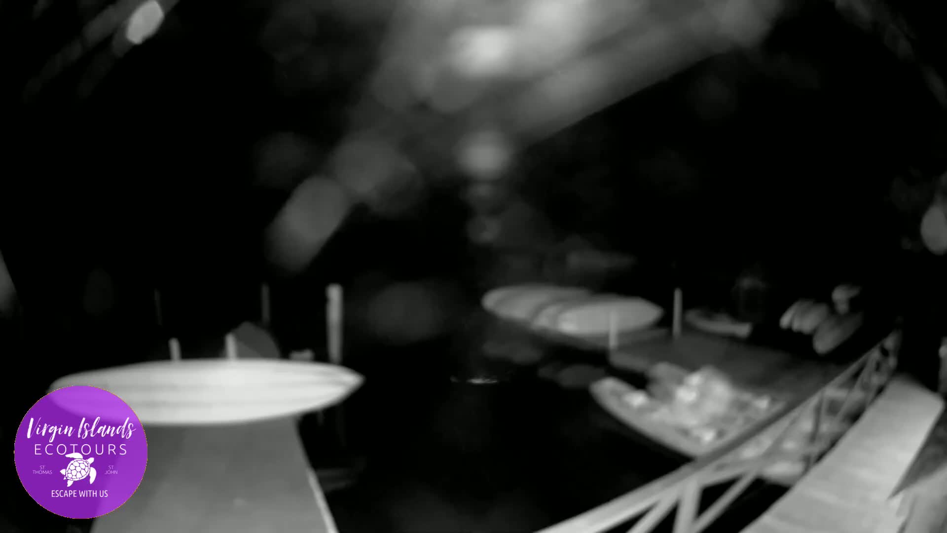 A nighttime, blurry low-light image shows a dock with several boats moored at a dark body of water.