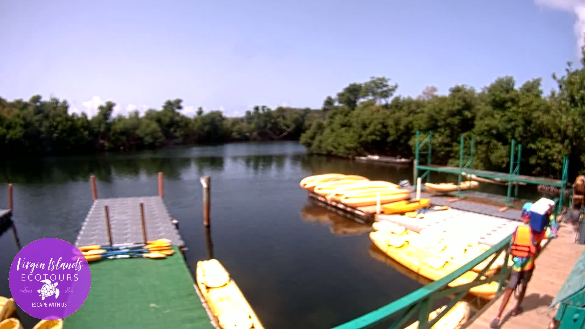 St. Thomas, Bovoni, Mangrove Lagoon Lake Live Cam - Southside, St. Thomas, United States Virgin Islands, USA