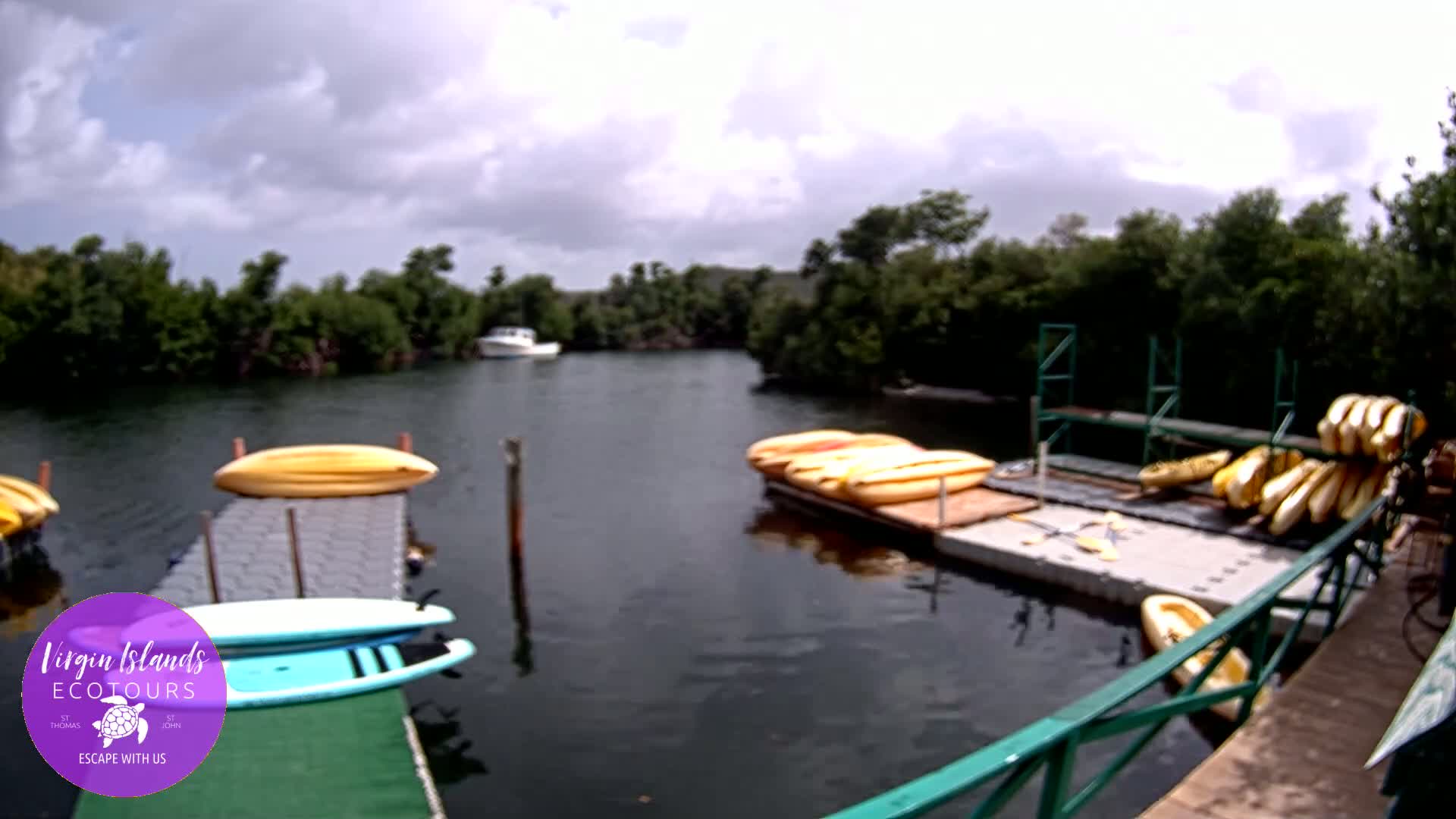St. Thomas, Bovoni, Mangrove Lagoon Lake Live Cam - Southside, St. Thomas, United States Virgin Islands, USA
